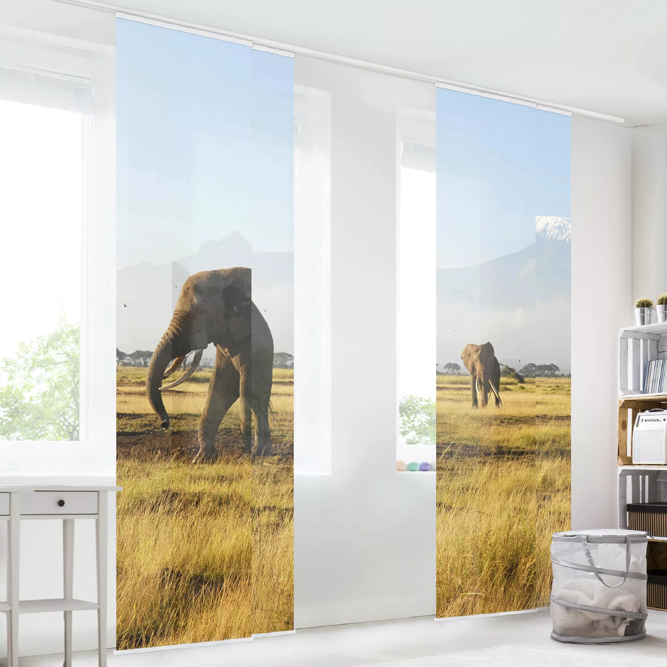 Schiebegardinen Set Natur & Landschaft Elefanten vor dem Kilimanjaro in Ken günstig online kaufen