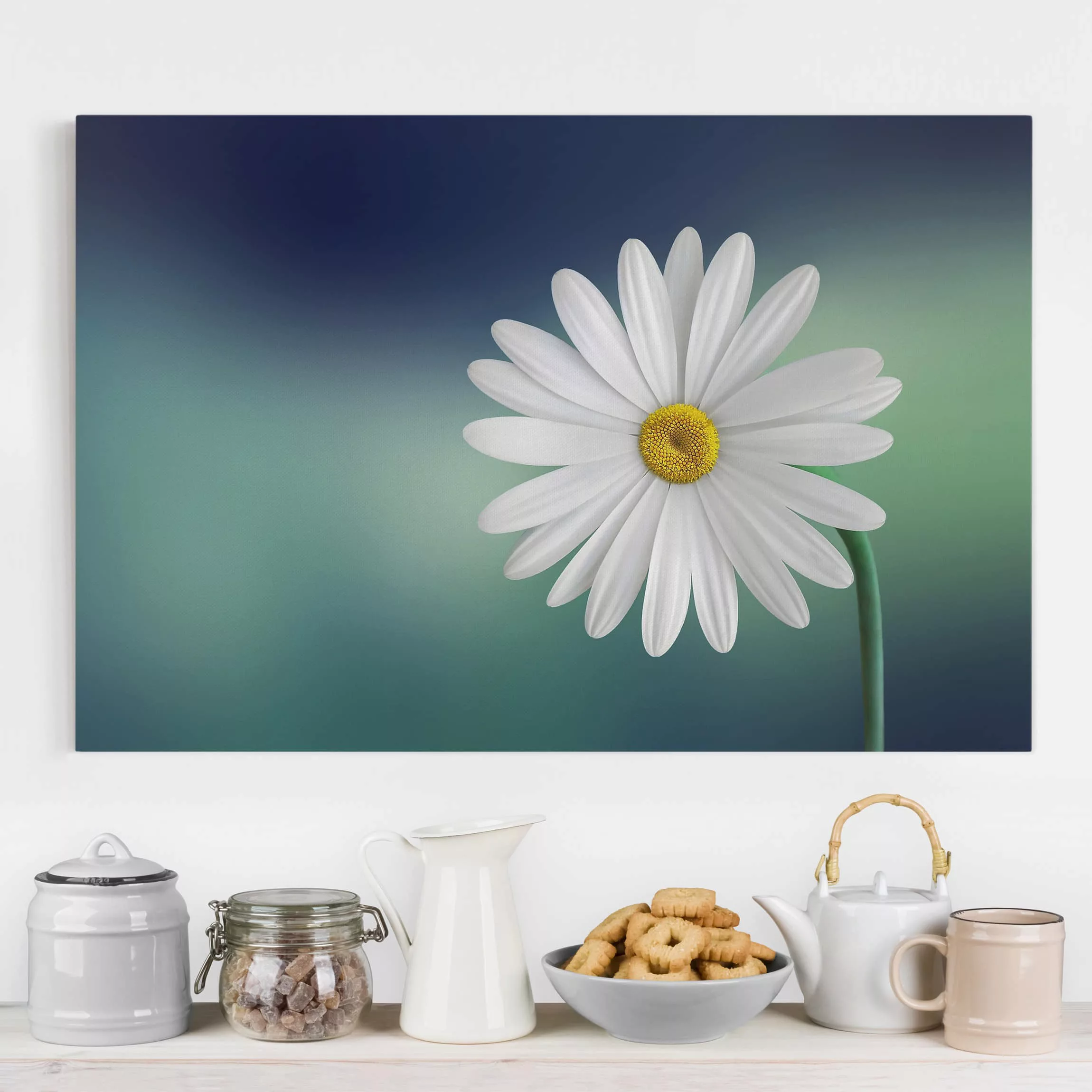 Leinwandbild Blumen - Querformat Gänseblümchen Close Up günstig online kaufen