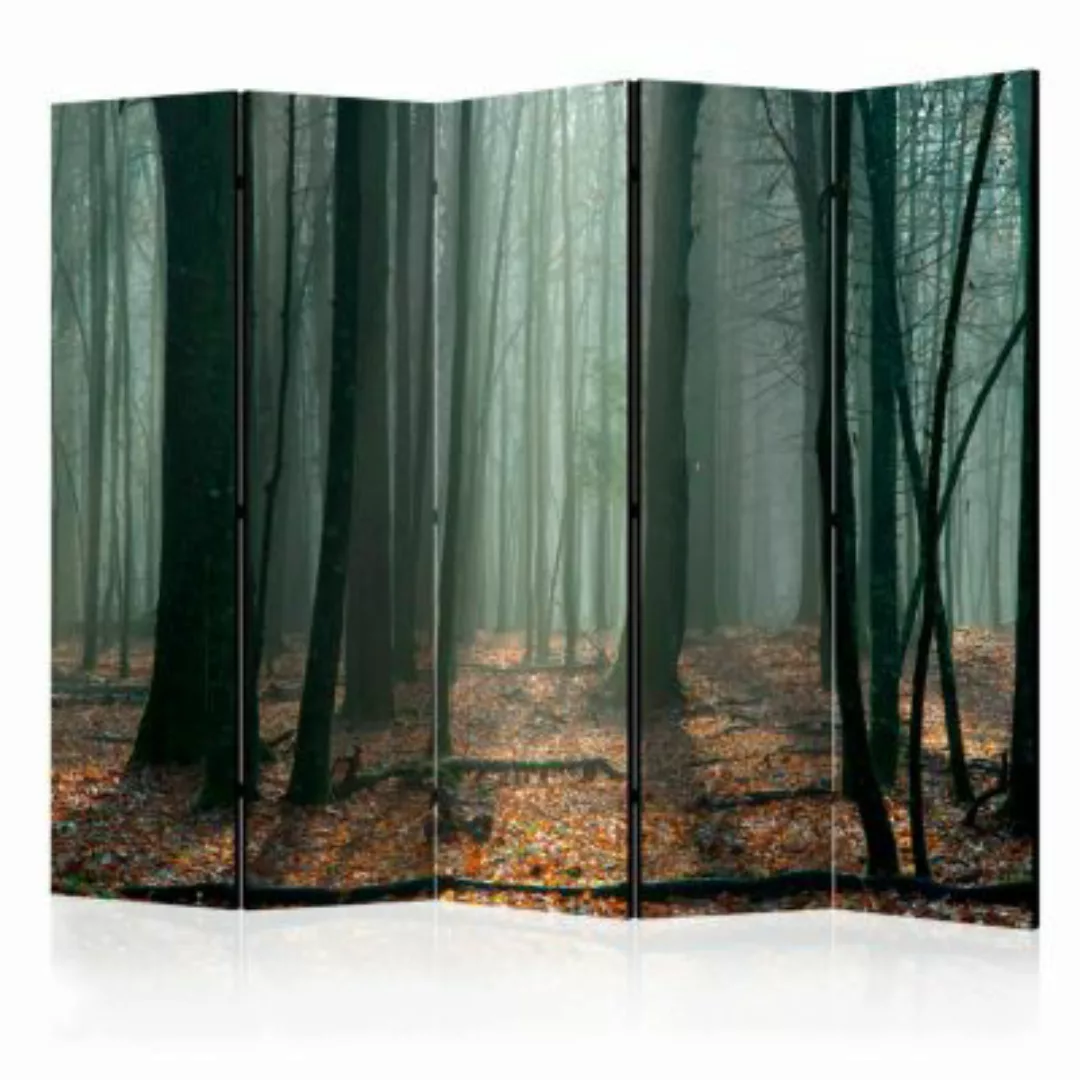 artgeist Paravent Witches' forest II [Room Dividers] grün-kombi Gr. 225 x 1 günstig online kaufen