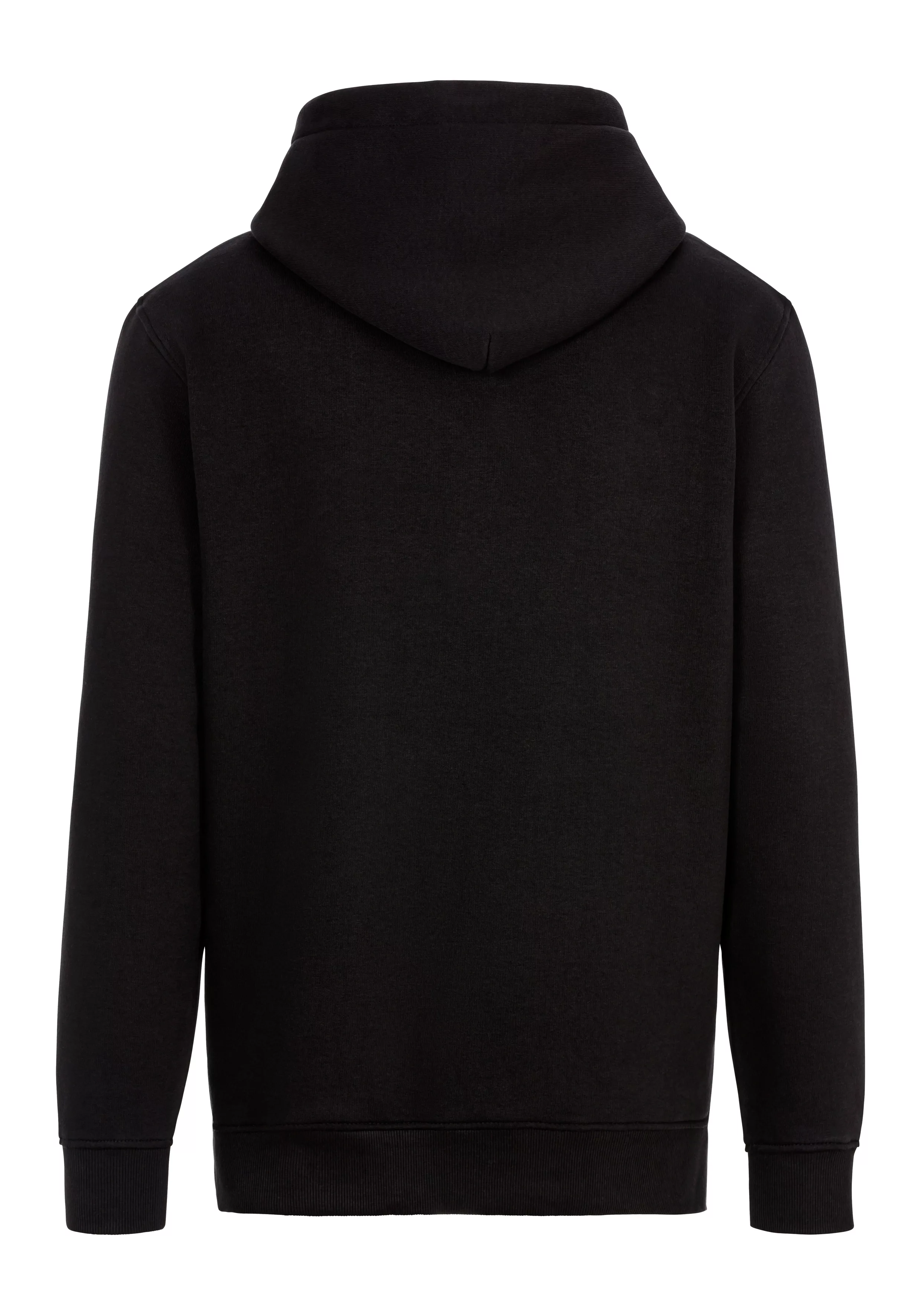 Tommy Jeans Sweatshirt "TJM REG ESSENTIAL FLAG HOOD EXT", mit bedruckten Ma günstig online kaufen