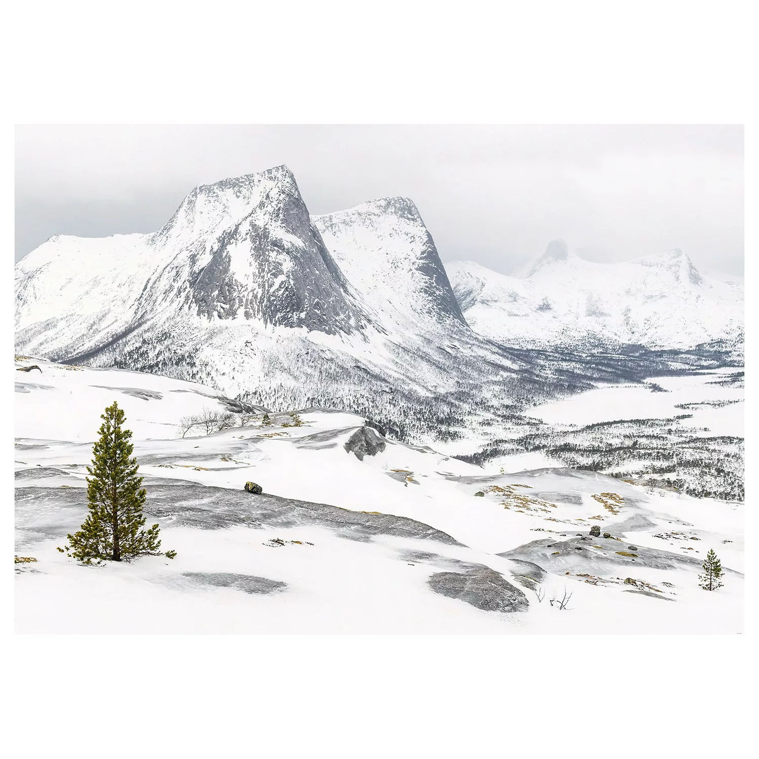 KOMAR Vlies Fototapete - White Enchanted Mountains - Größe 400 x 280 cm meh günstig online kaufen