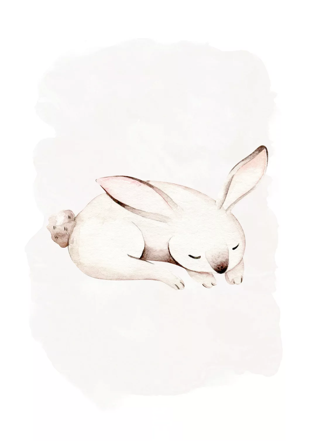 Komar Poster "Sleepy Bunny", (1 St.) günstig online kaufen