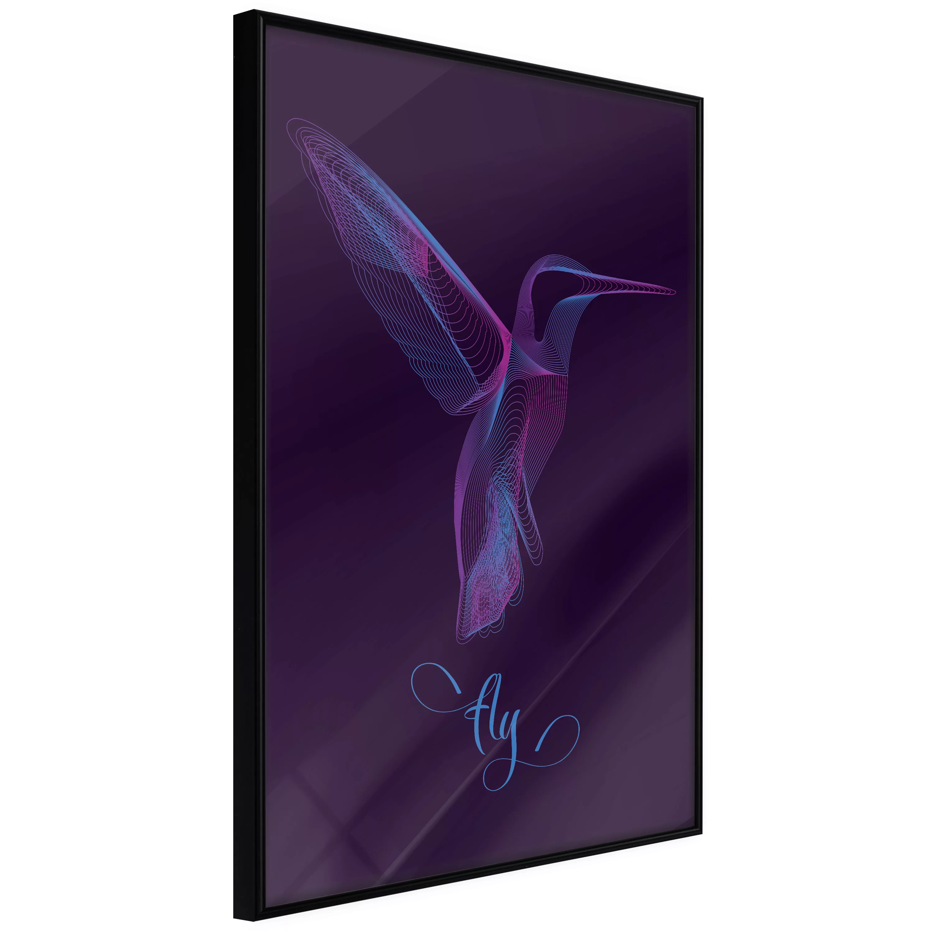 Poster - Fluorescent Hummingbird günstig online kaufen