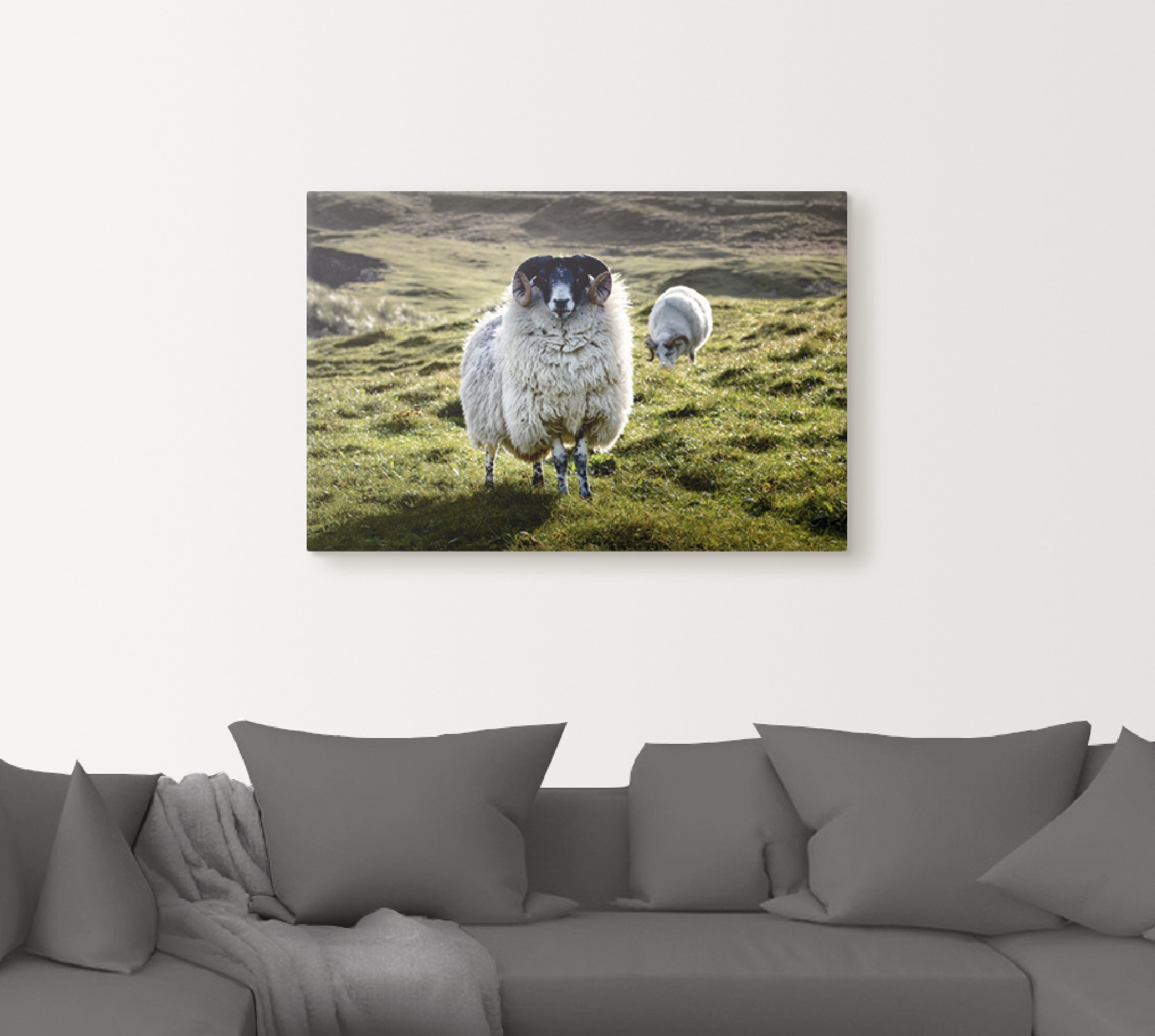 Artland Leinwandbild "Schaf", Haustiere, (1 St.), auf Keilrahmen gespannt günstig online kaufen