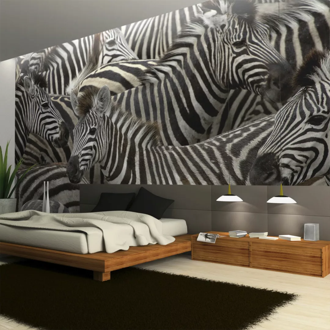 Fototapete - Herde Von Zebras günstig online kaufen