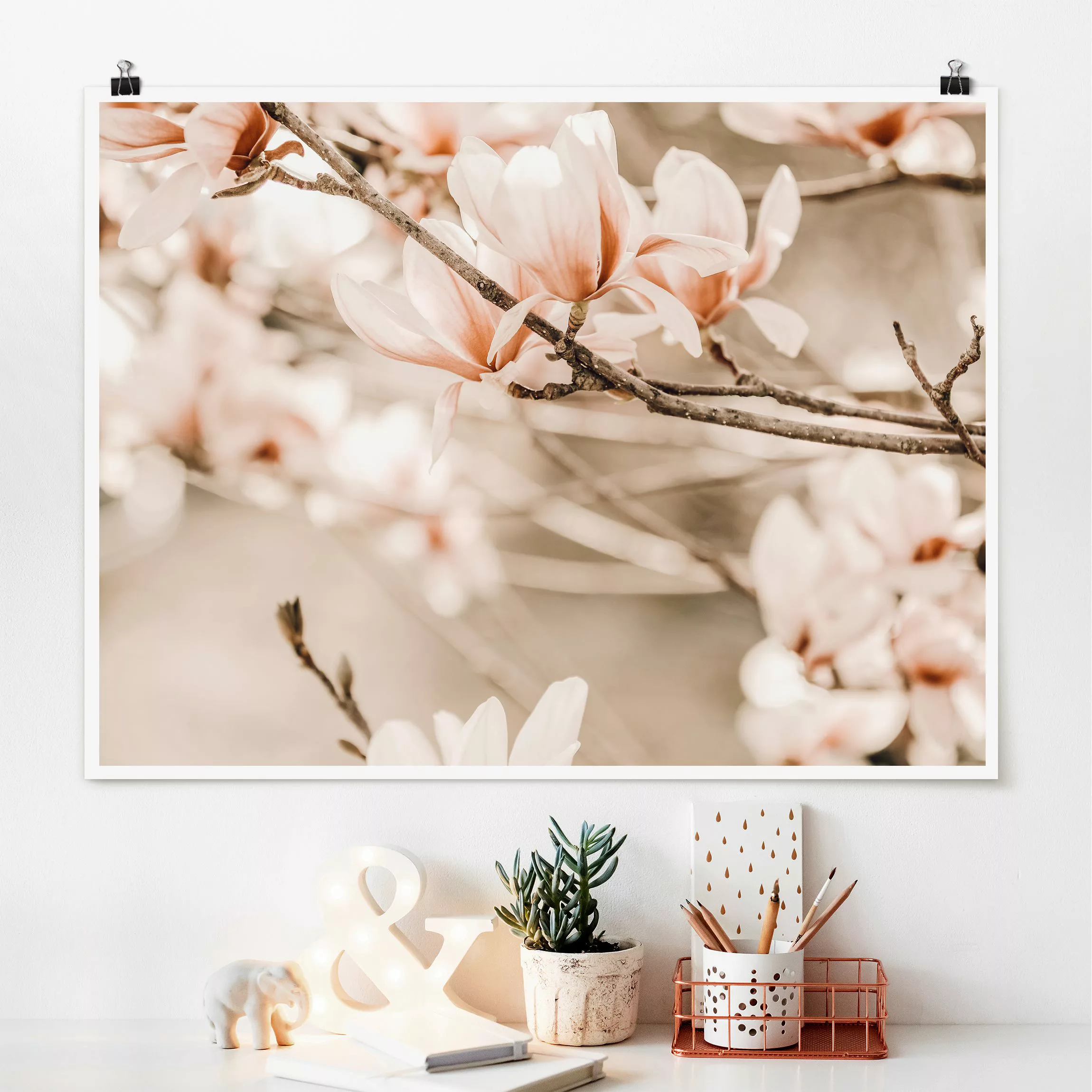 Poster Magnolienzweige im Vintagestil günstig online kaufen