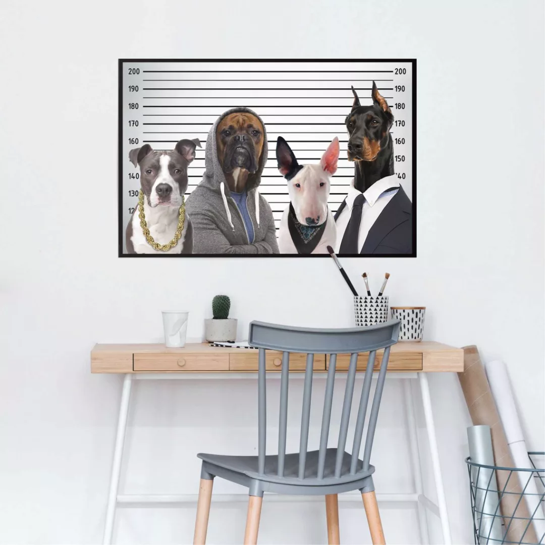 Reinders Poster "Hunde Mug Shot", (1 St.) günstig online kaufen