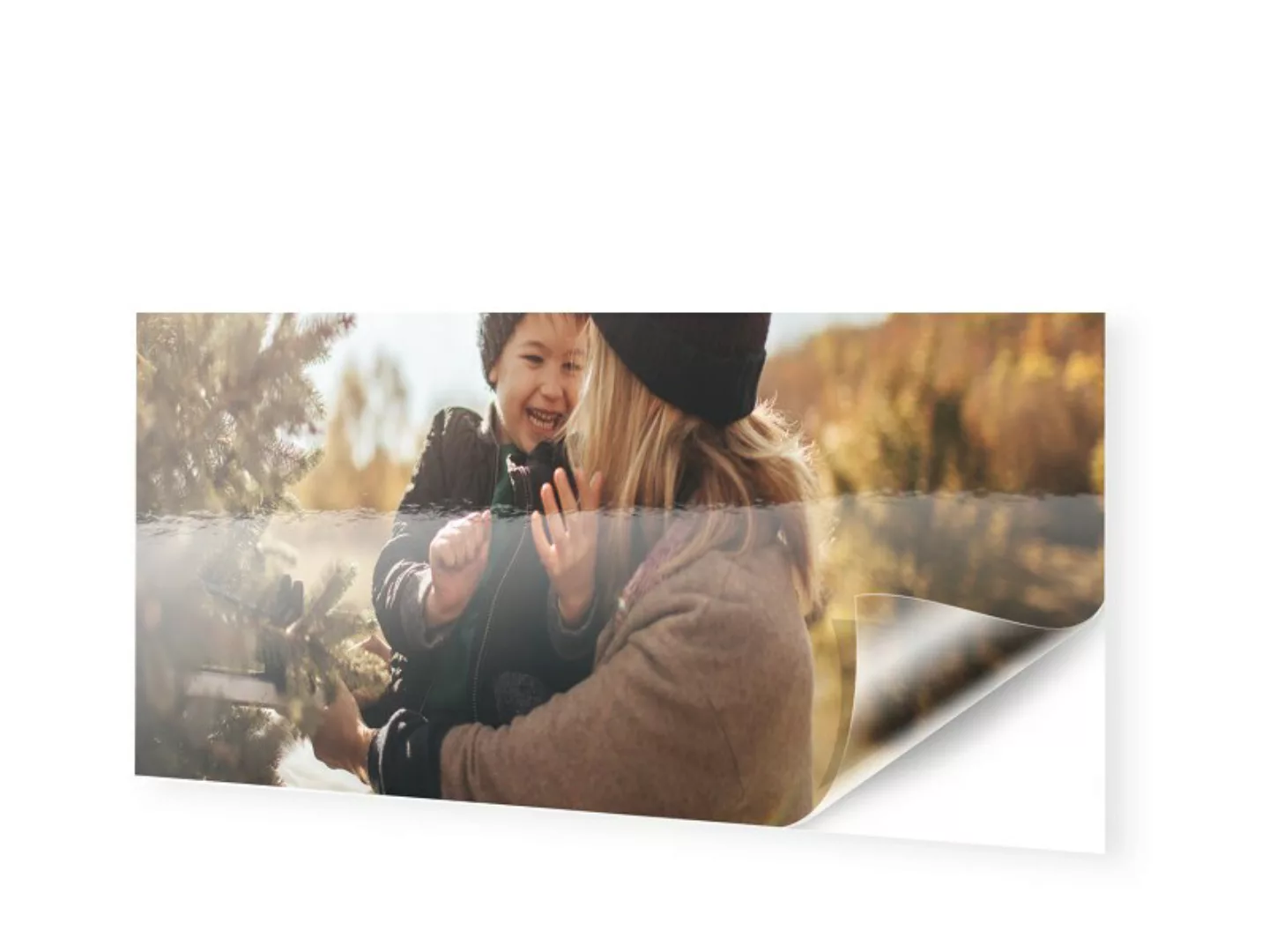 Foto auf Klebefolie im Format 150 x 75 cm als Panorama im Format 150 x 75 c günstig online kaufen