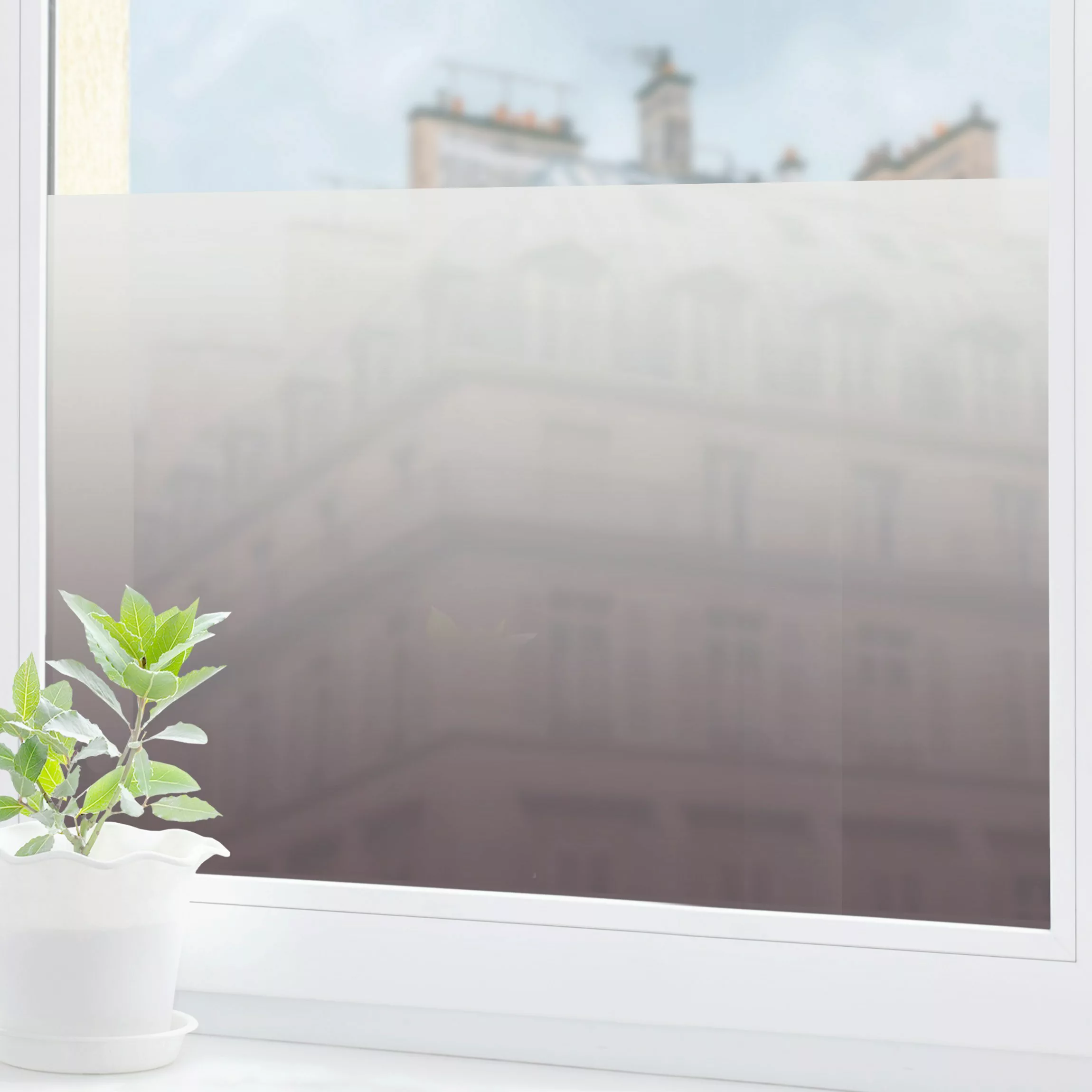 Fensterfolie Grau-Lila Farbverlauf günstig online kaufen