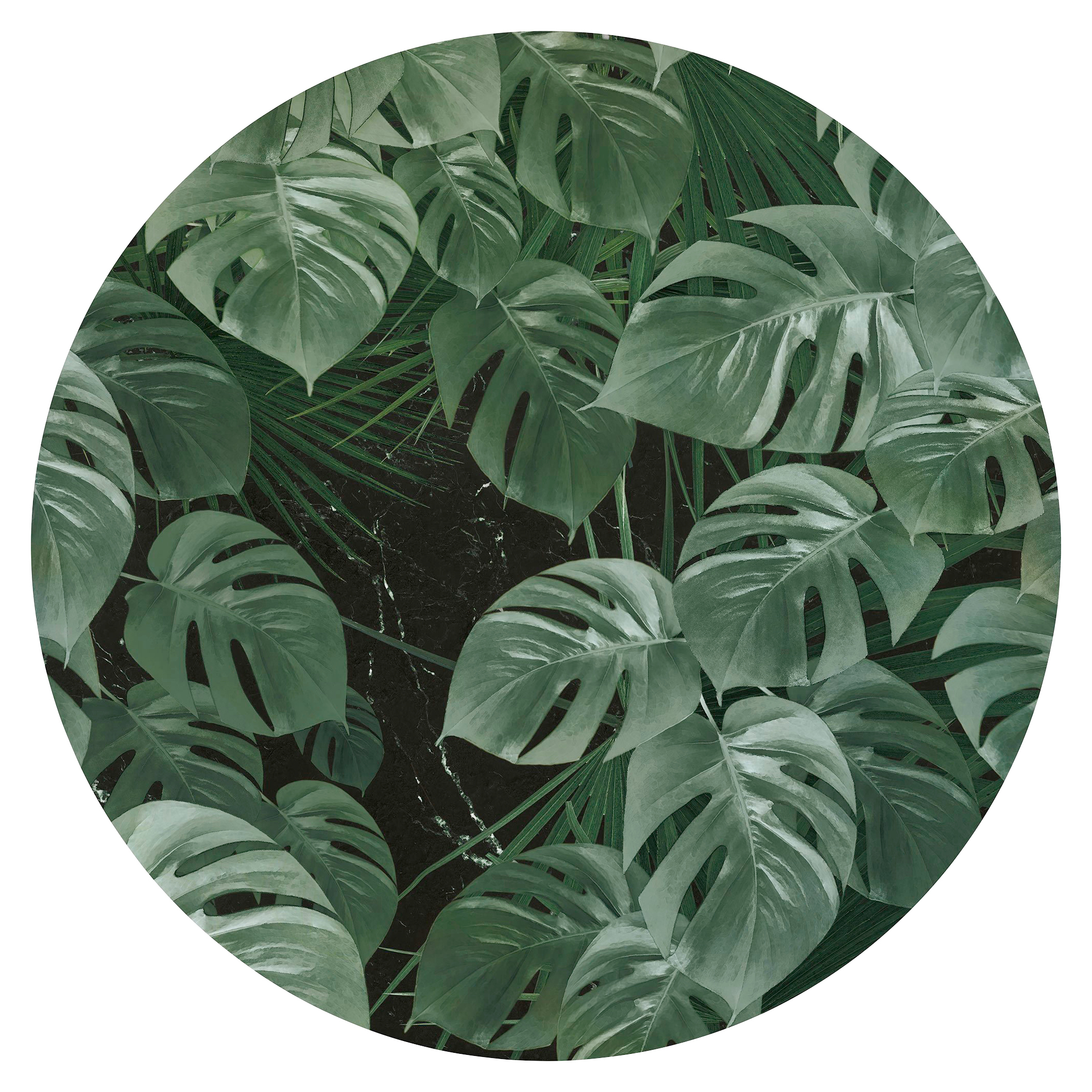 Komar Fototapete Novel Monstera D: ca. 125 cm günstig online kaufen