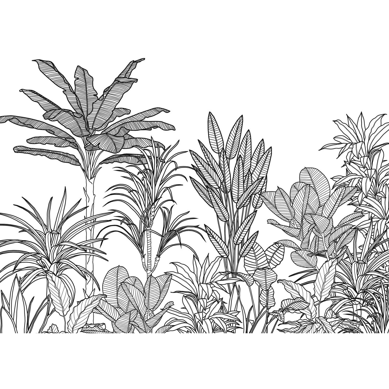 Komar Fototapete Palmen Schwarz-Weiß 350 x 250 cm 611218 günstig online kaufen