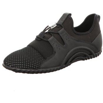 Ecco  Halbschuhe Schnuerschuhe 206103-01001 günstig online kaufen