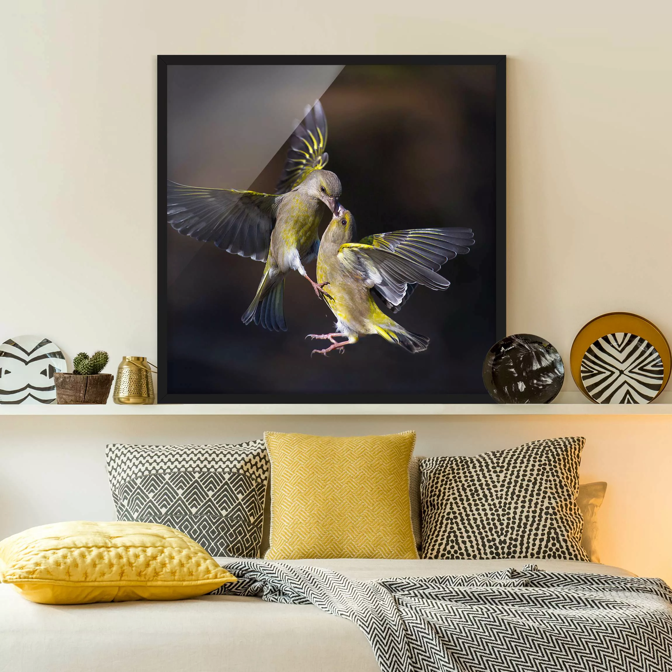 Bild mit Rahmen Küssende Kolibris günstig online kaufen