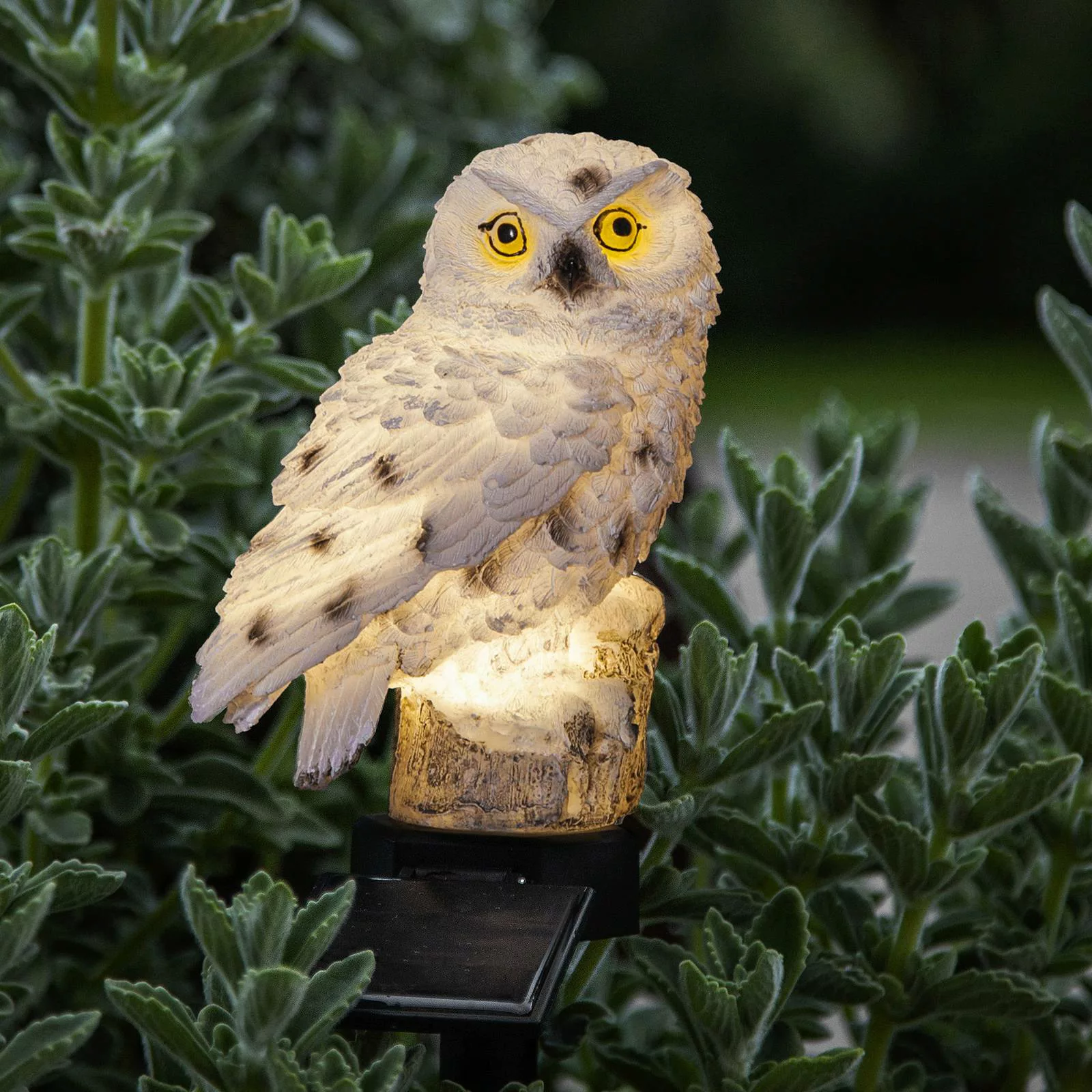 LED-Solarleuchte Owl mit Erdspieß günstig online kaufen