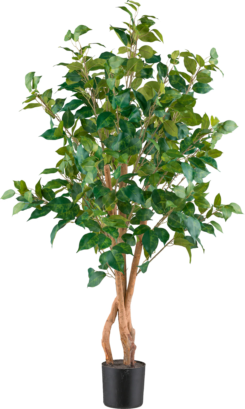 Creativ green Kunstpflanze "Ficus benjamina", mit sehr naturgetreu gestalte günstig online kaufen