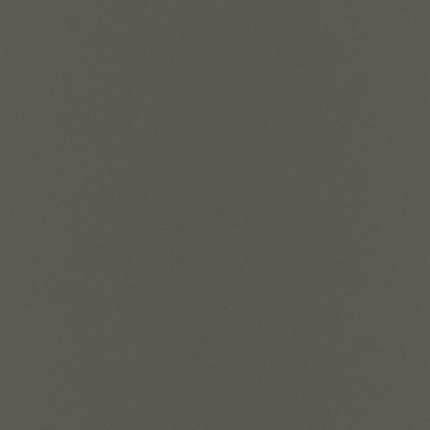 Bricoflor Einfarbige Tapete in Schwarz 634215 günstig online kaufen