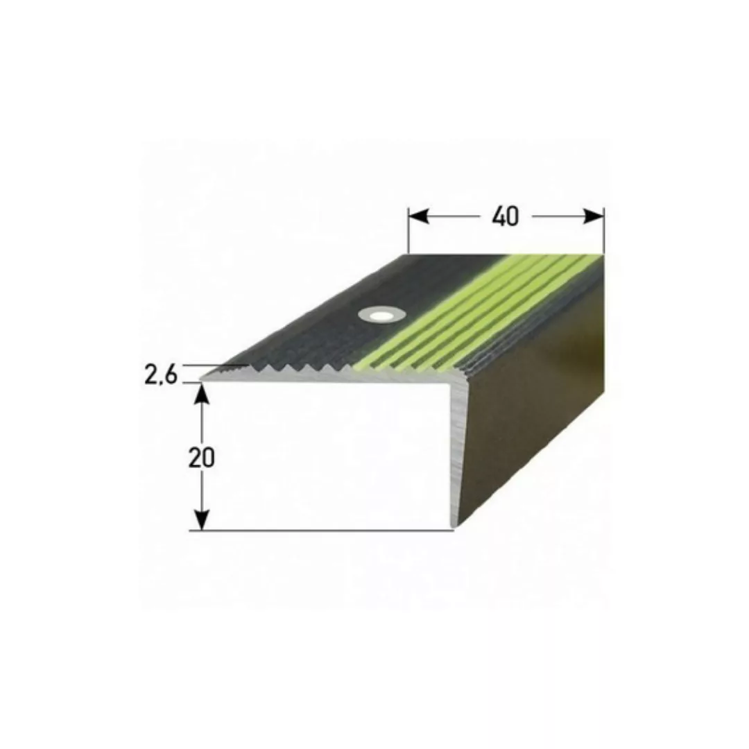 Treppenkante "Modena" / Treppenkantenprofil / Winkelprofil (Größe 20 mm x 4 günstig online kaufen