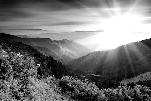 Papermoon Fototapete »Landschaft Schwarz & Weiß« günstig online kaufen