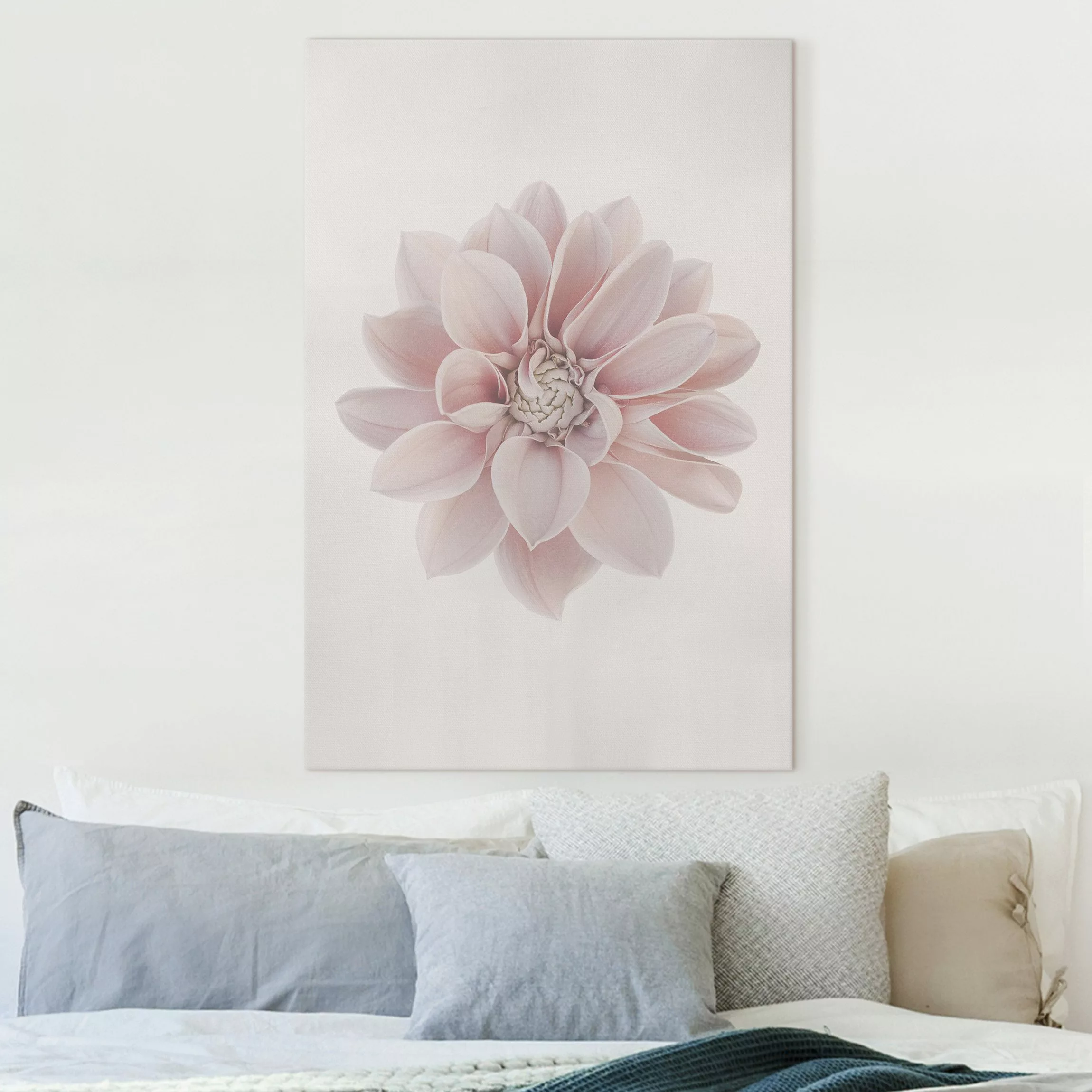 Leinwandbild Dahlie Blume Pastell Weiß Rosa günstig online kaufen