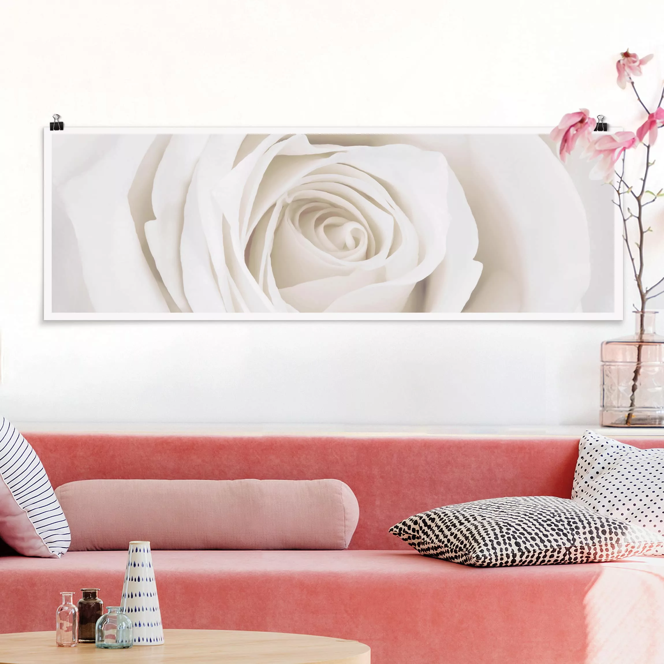 Panorama Poster Blumen Pretty White Rose günstig online kaufen