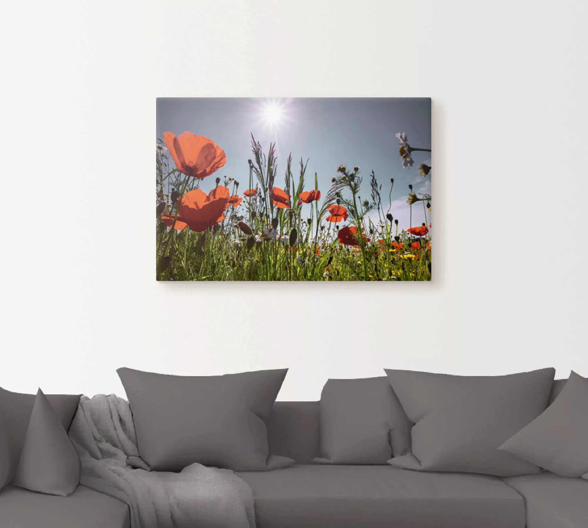 Artland Wandbild »Mohnblumenwiese«, Blumenwiese, (1 St.) günstig online kaufen