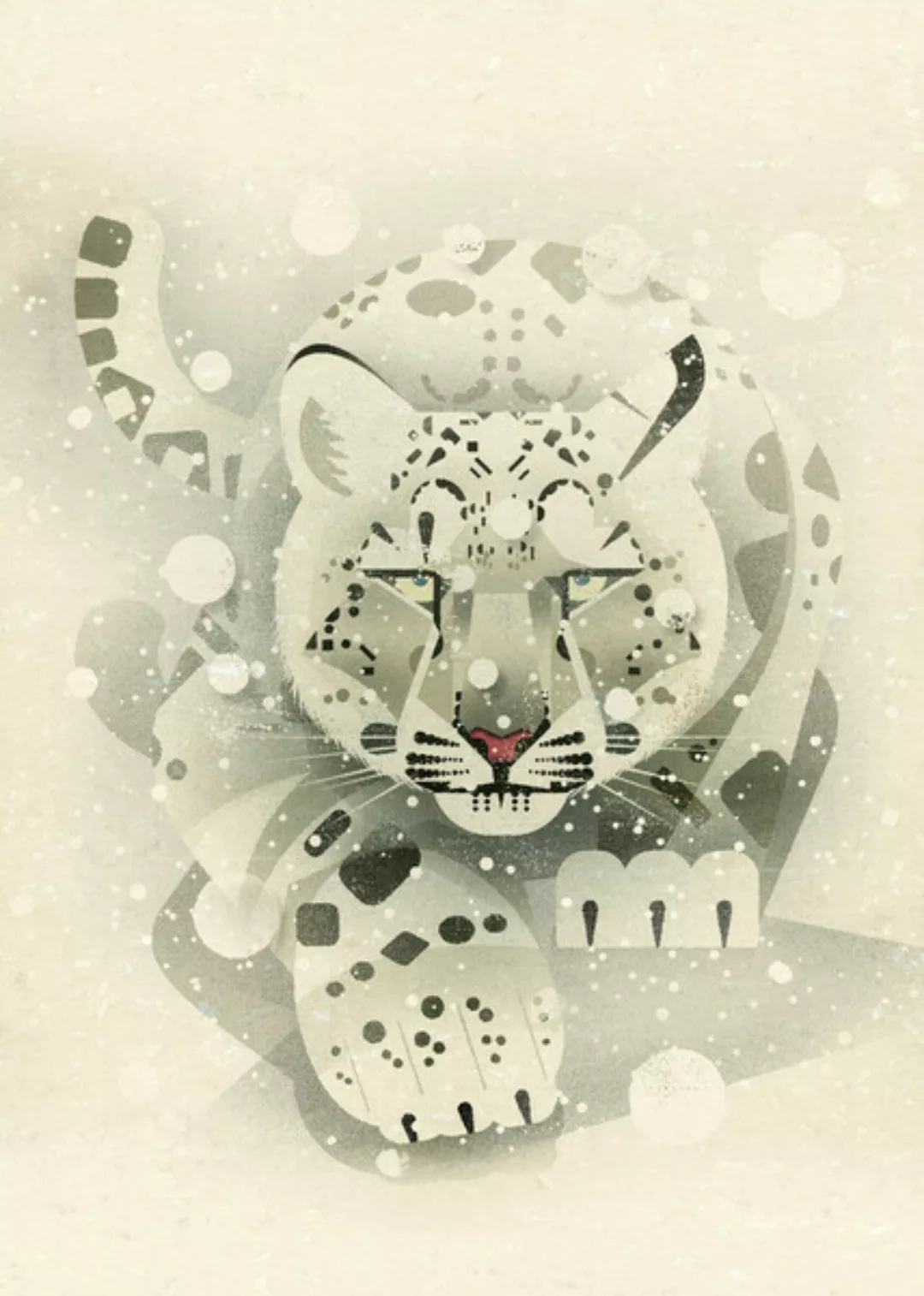 Poster / Leinwandbild - Schneeleopard günstig online kaufen