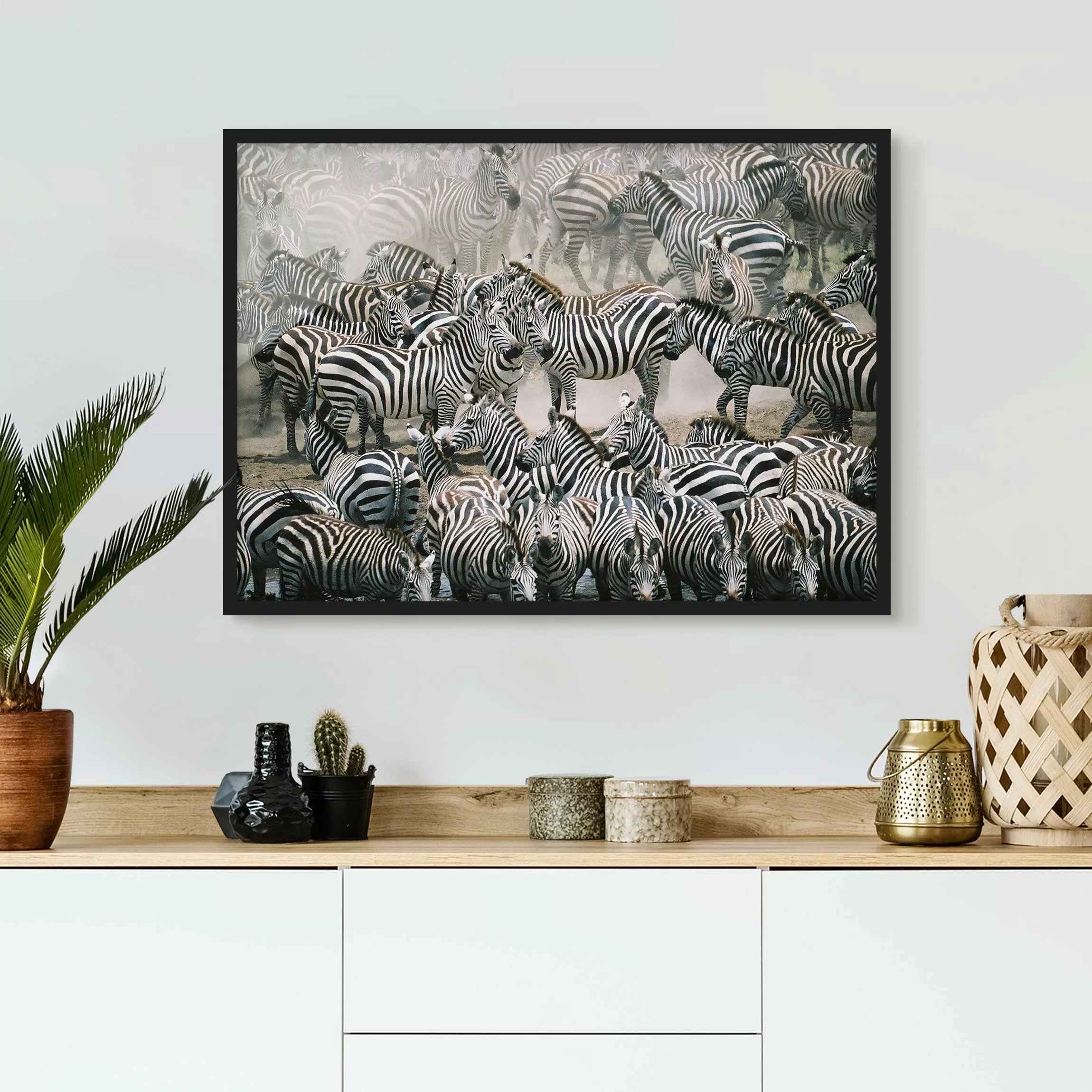 Bild mit Rahmen Tiere - Querformat Zebraherde günstig online kaufen