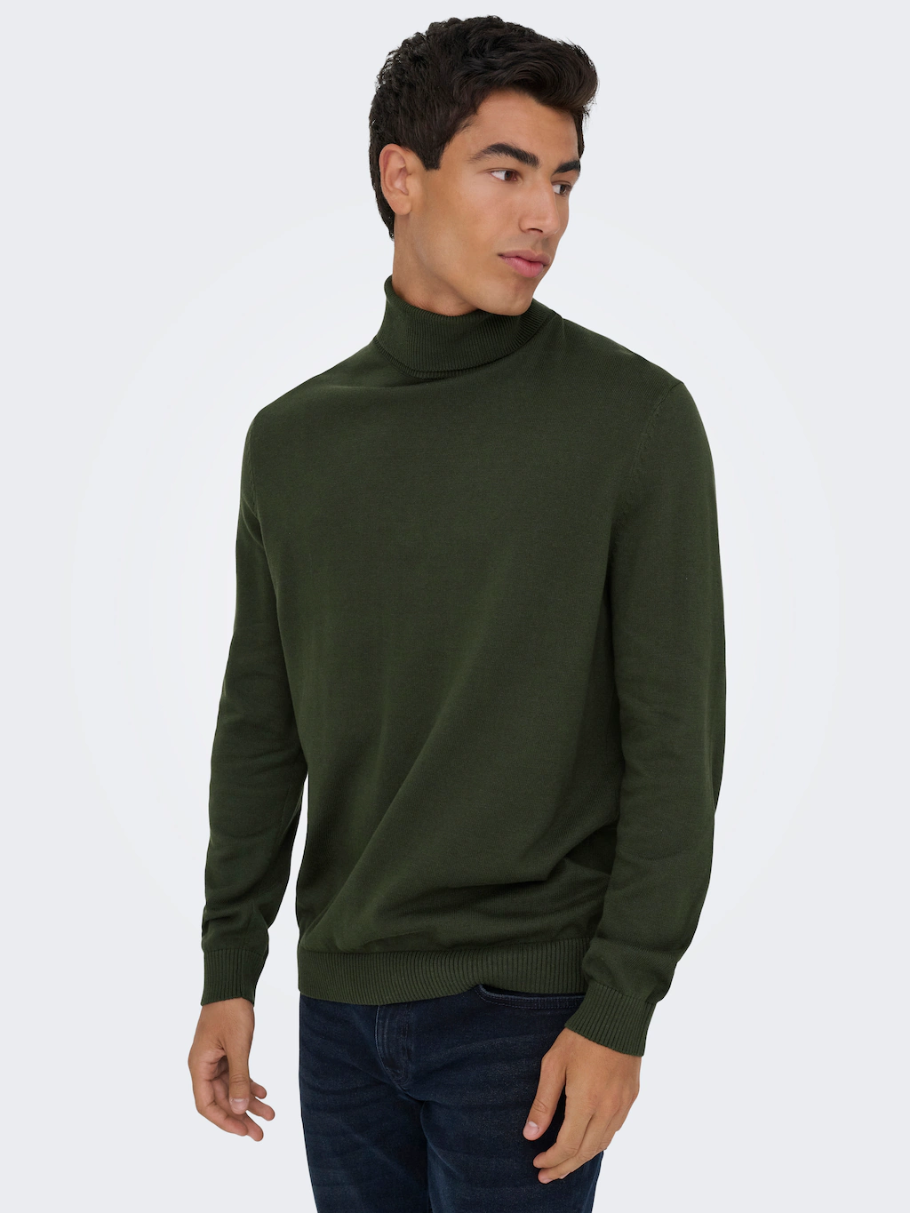 ONLY & SONS Rollkragenpullover "ONSHOLGER REG ROLL NECK KNIT - OTL" günstig online kaufen