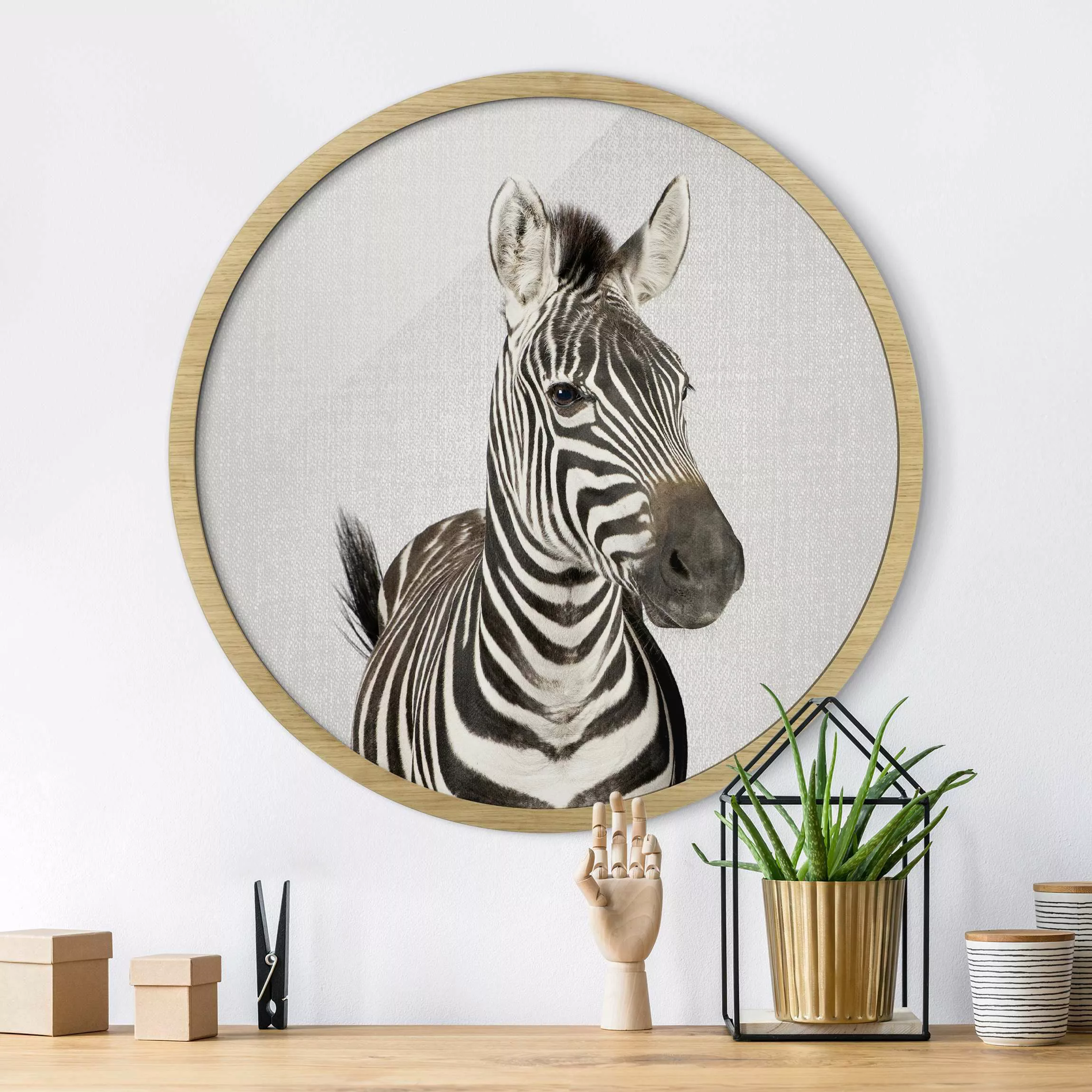 Rundes Gerahmtes Bild Zebra Zilla günstig online kaufen