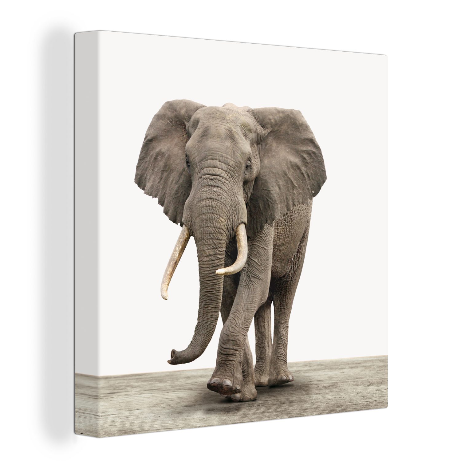 OneMillionCanvasses® Leinwandbild Elefant - Kinder - günstig online kaufen