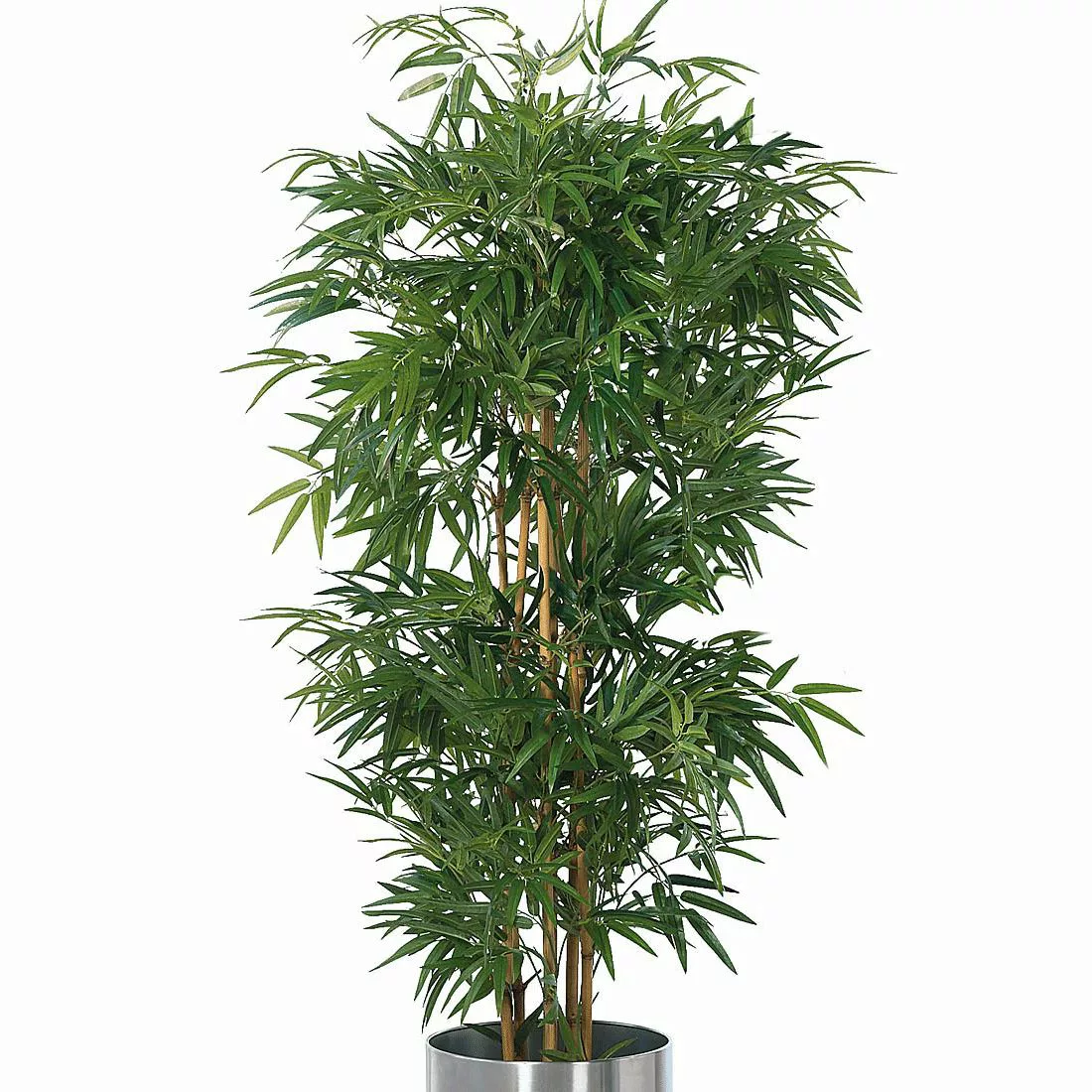 home24 Kunstpflanze Bambusbaum günstig online kaufen