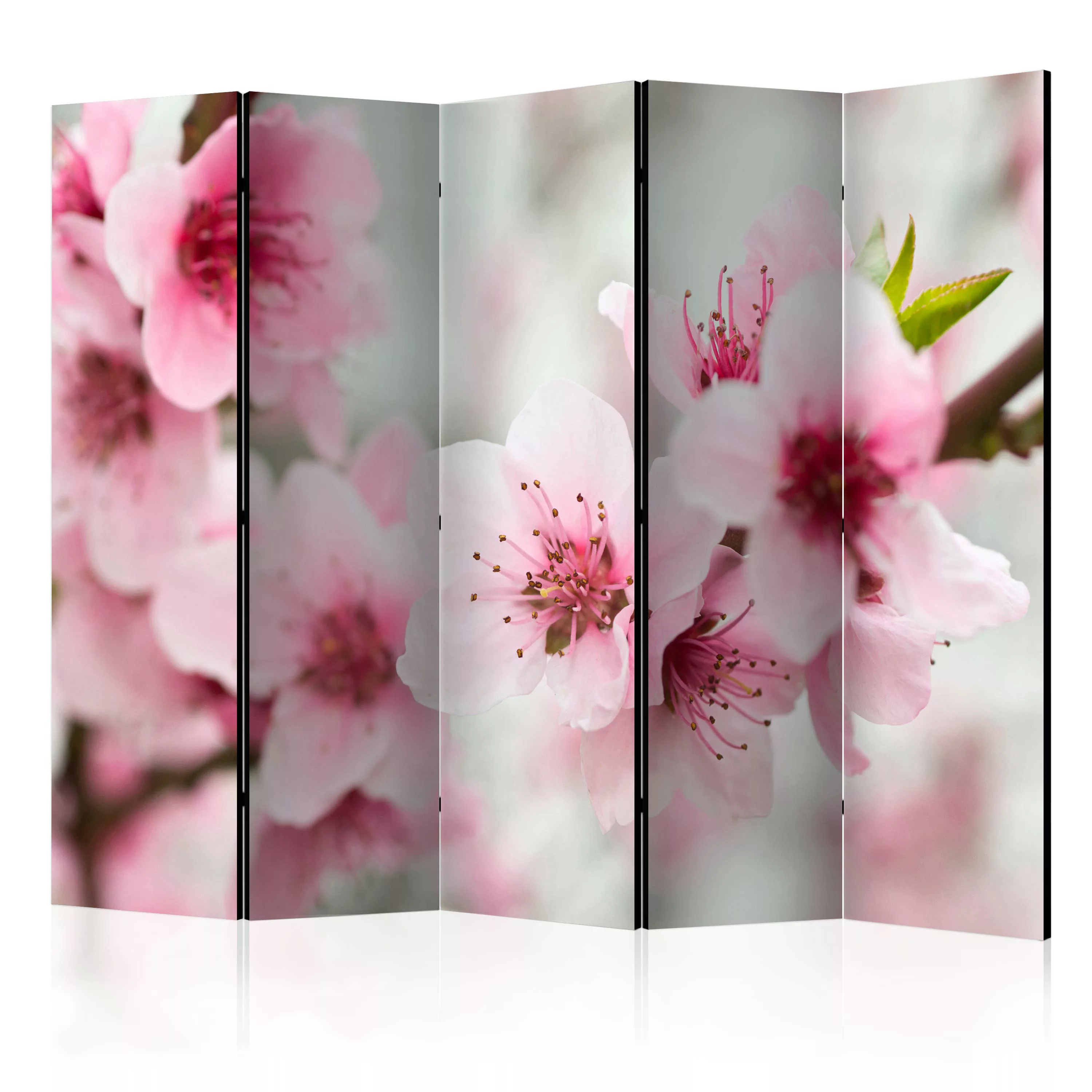 5-teiliges Paravent - Spring, Blooming Tree - Pink Flowers Ii [room Divider günstig online kaufen