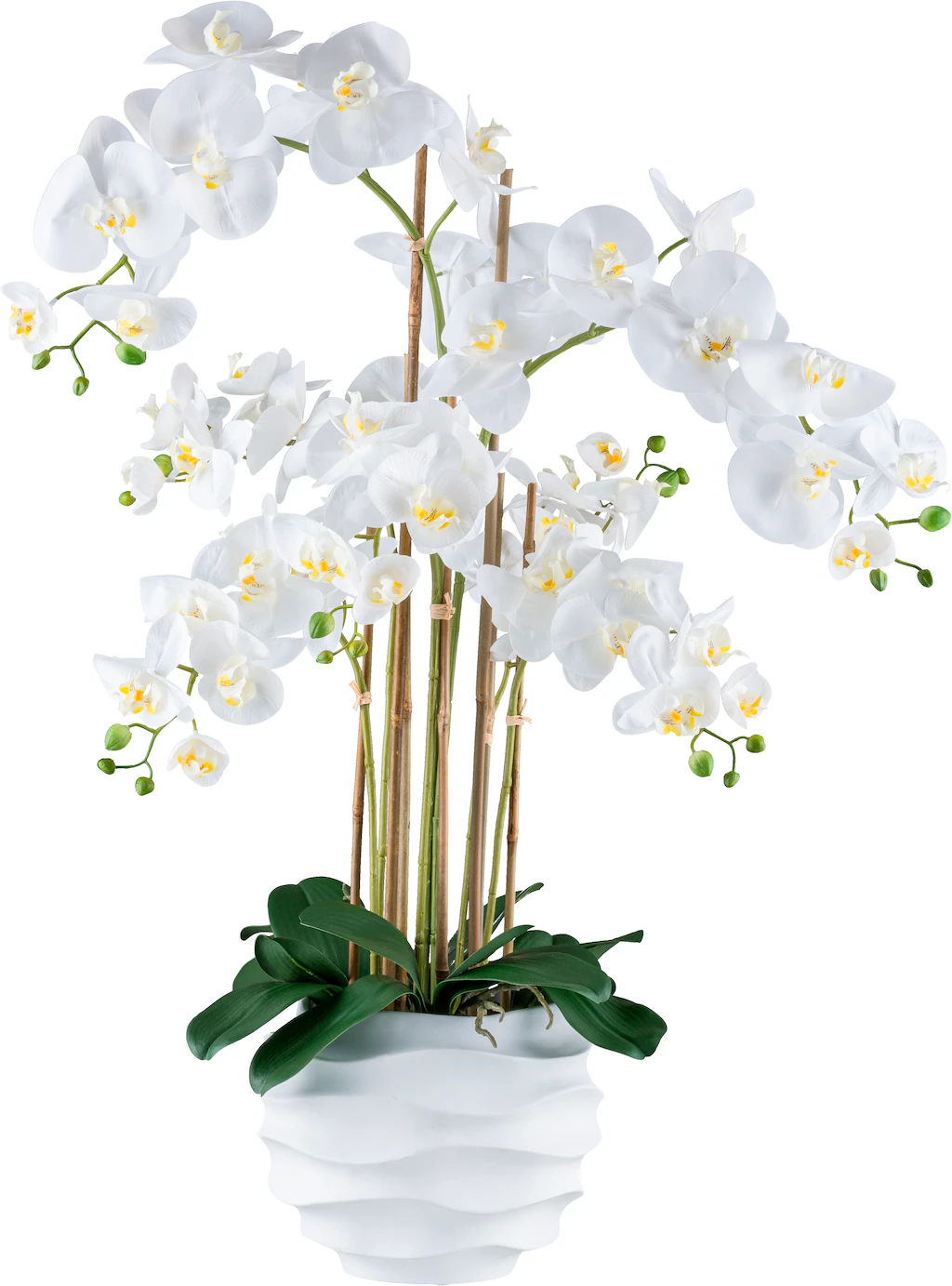 Creativ green Kunstorchidee "Orchidee Phalaenopsis", im Design-Topf günstig online kaufen