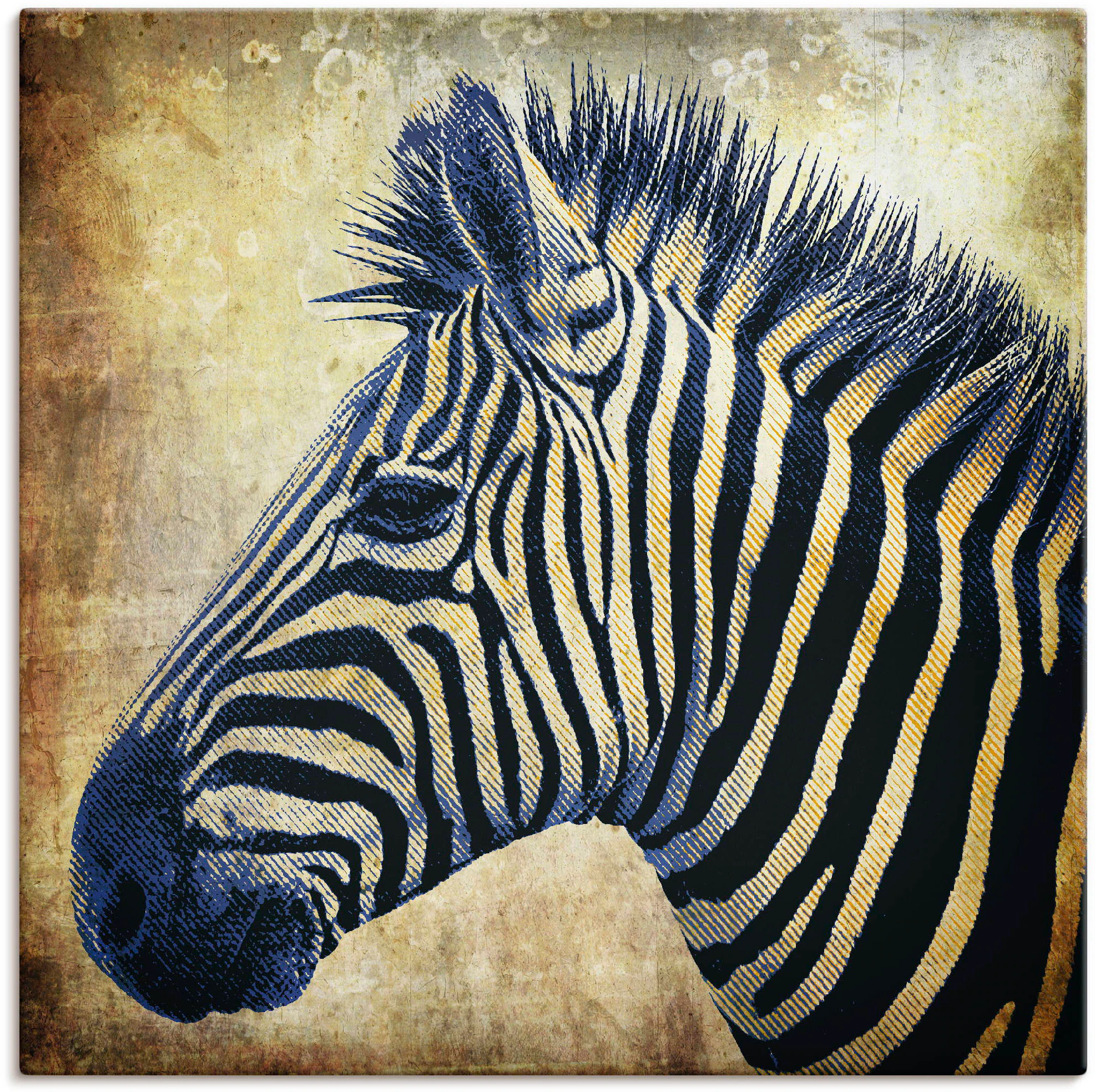 Artland Wandbild "Zebra Porträt PopArt", Wildtiere, (1 St.), als Leinwandbi günstig online kaufen