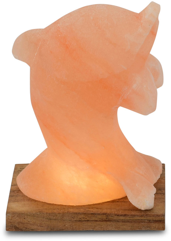 HIMALAYA SALT DREAMS Salzkristall-Tischlampe »Delfin«, Handgefertigt aus Sa günstig online kaufen