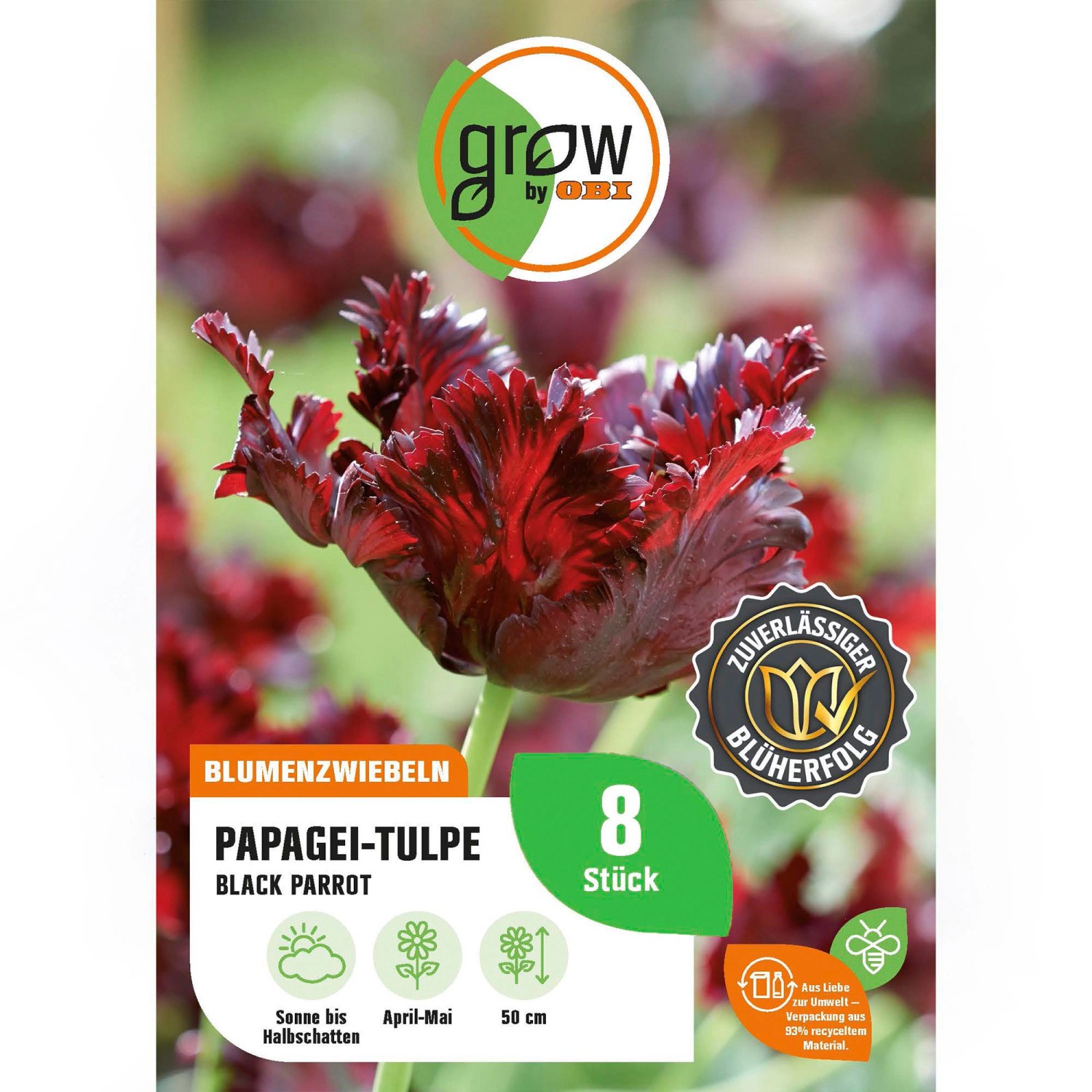 GROW by OBI Papagei-Tulpe Black Parrot 8 Stück Tulipa parrot BlackParrot günstig online kaufen