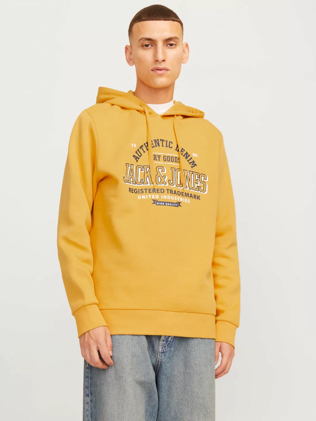 Jack & Jones Kapuzensweatshirt JJELOGO SWEAT HOOD 2 COL 24/25 NOOS günstig online kaufen