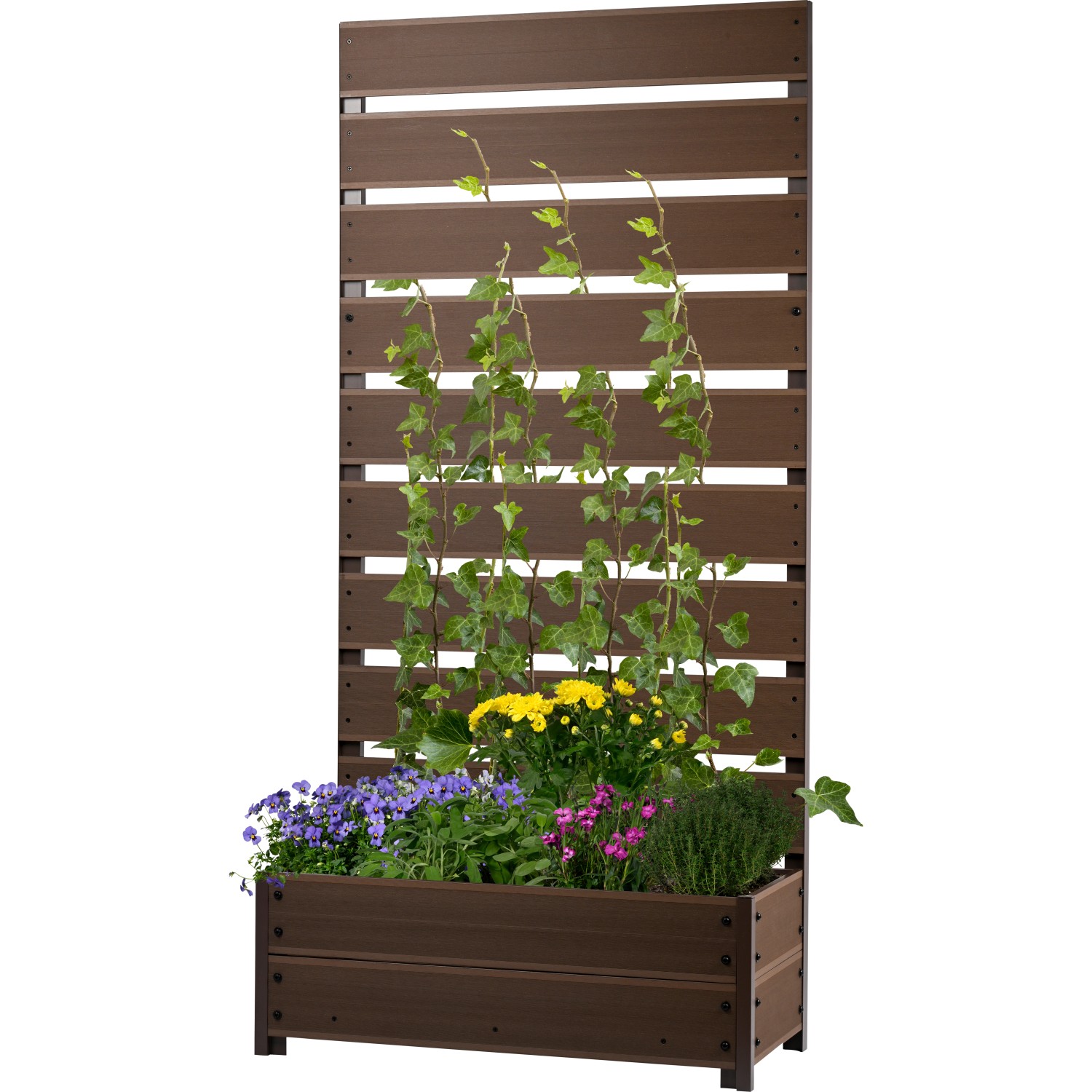 Dobar Pflanzbeet mit Rankgitter aus WPC 137 cm x 72 cm x 33 cm Dunkelbraun günstig online kaufen