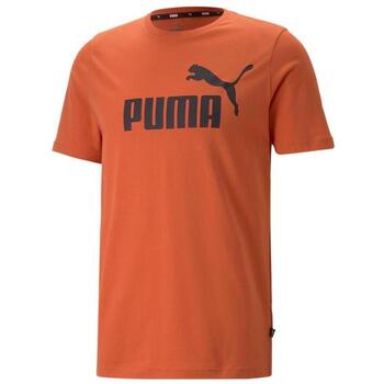 Puma  T-Shirts & Poloshirts 586667-94 günstig online kaufen