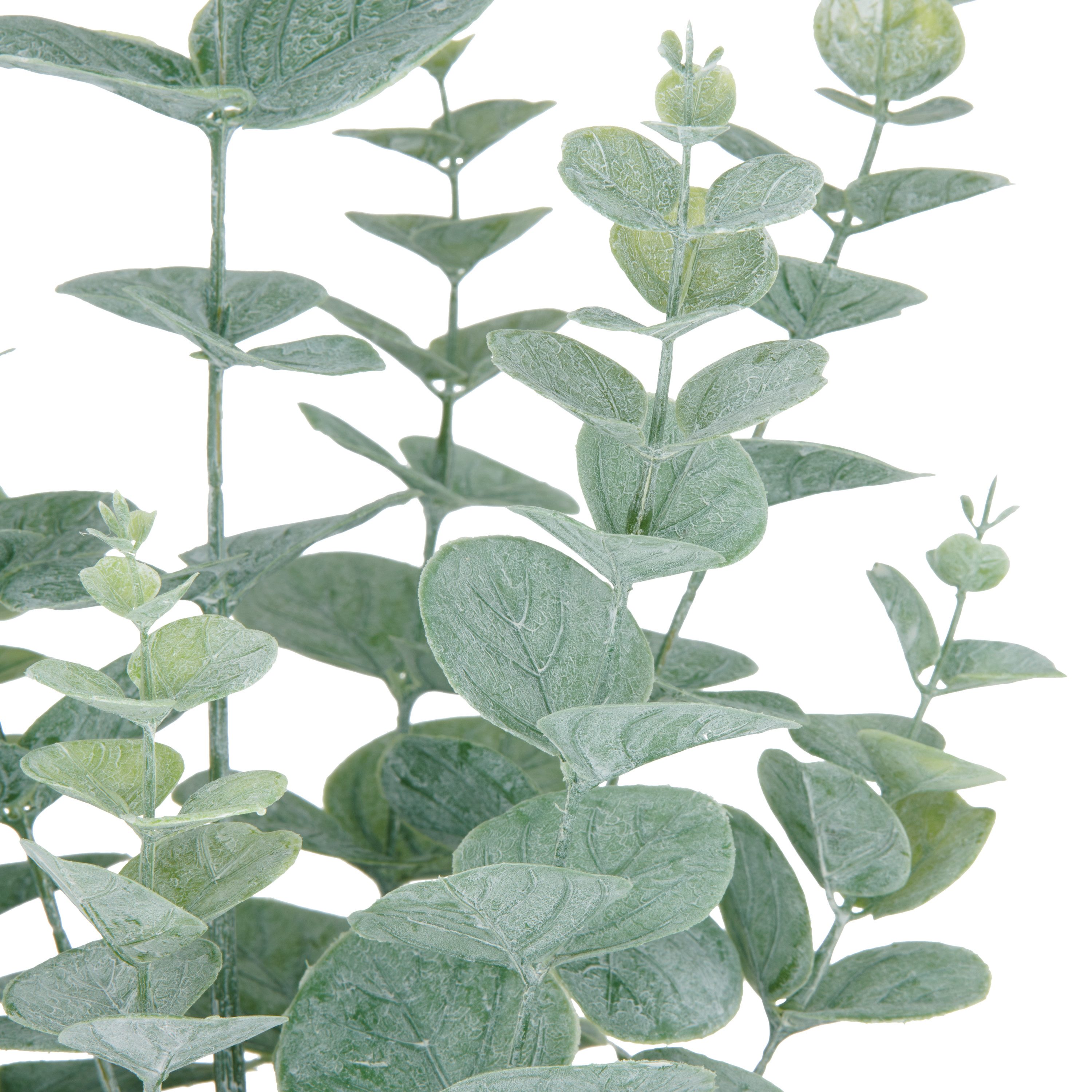 Creativ green Kunstpflanze "Eukalyptus", mit üppigem Blattwerk günstig online kaufen