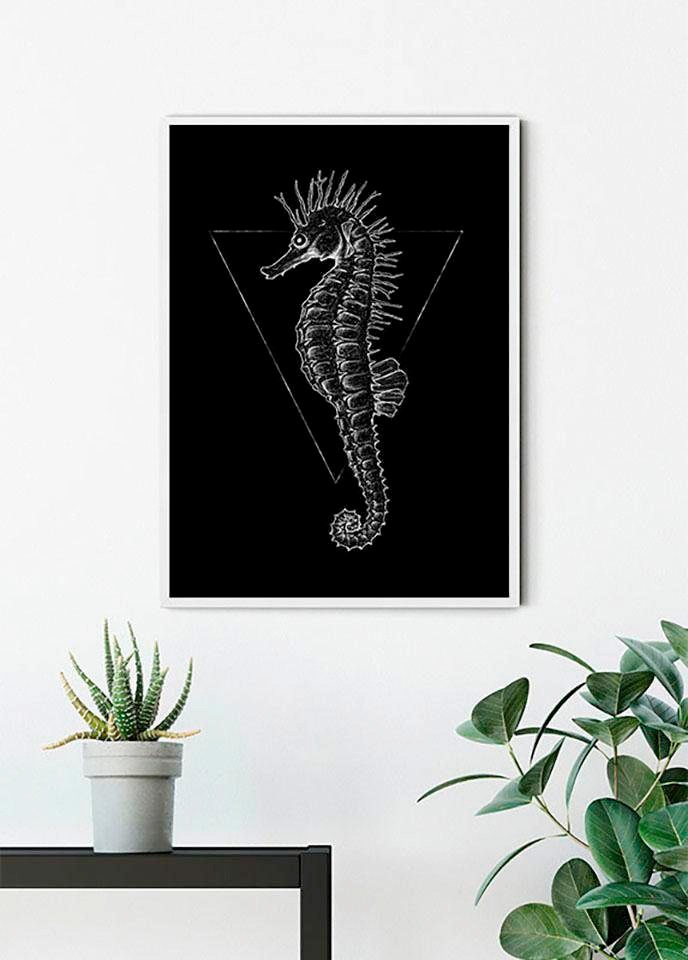 Komar Bild "Sea Horse Black", Tiere, (1 St.), Wandbild zur Dekoration - ohn günstig online kaufen