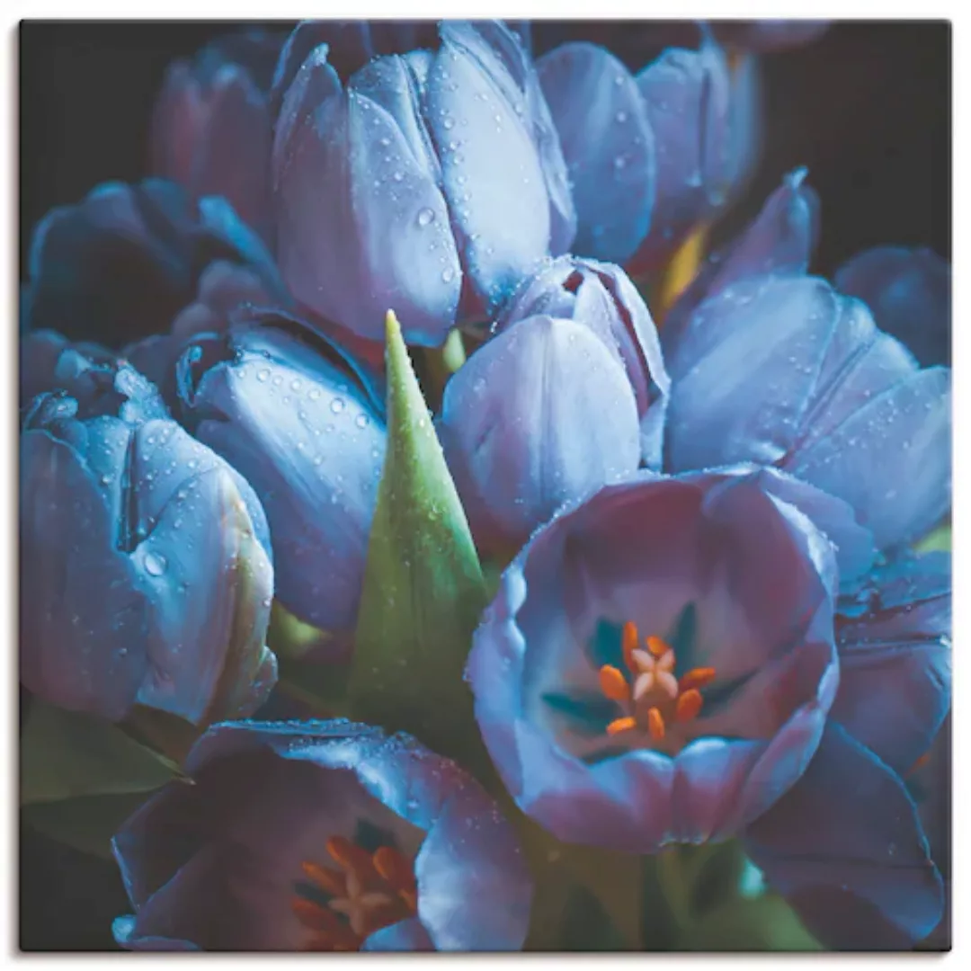 Artland Leinwandbild »Tulpen Blau«, Blumen, (1 St.), auf Keilrahmen gespann günstig online kaufen