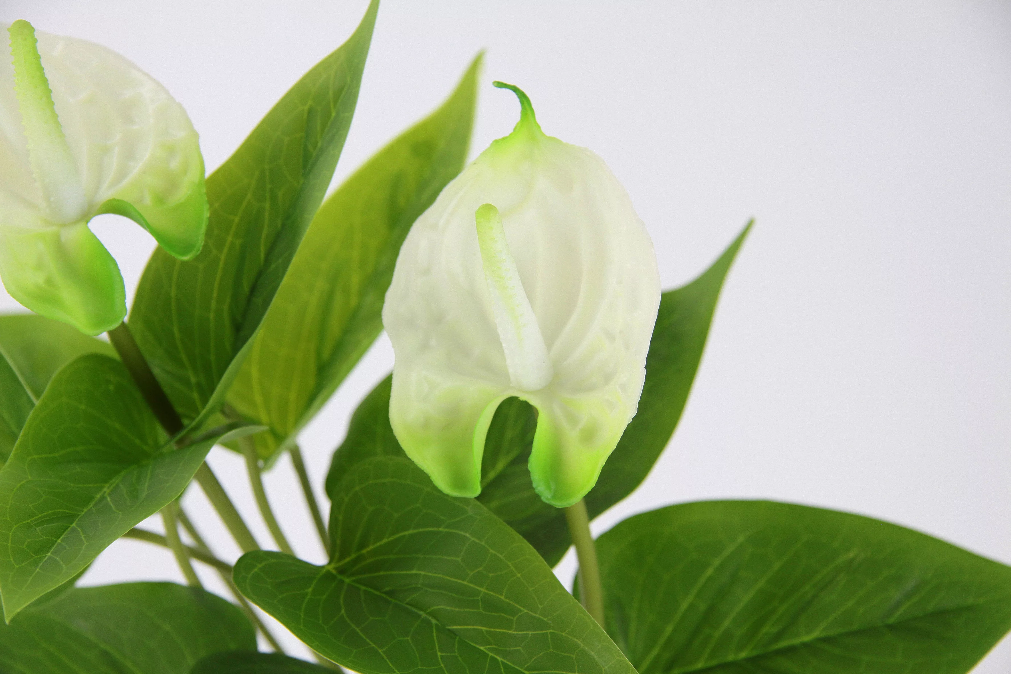 I.GE.A. Kunstblume "Anthuriumpflanze" günstig online kaufen