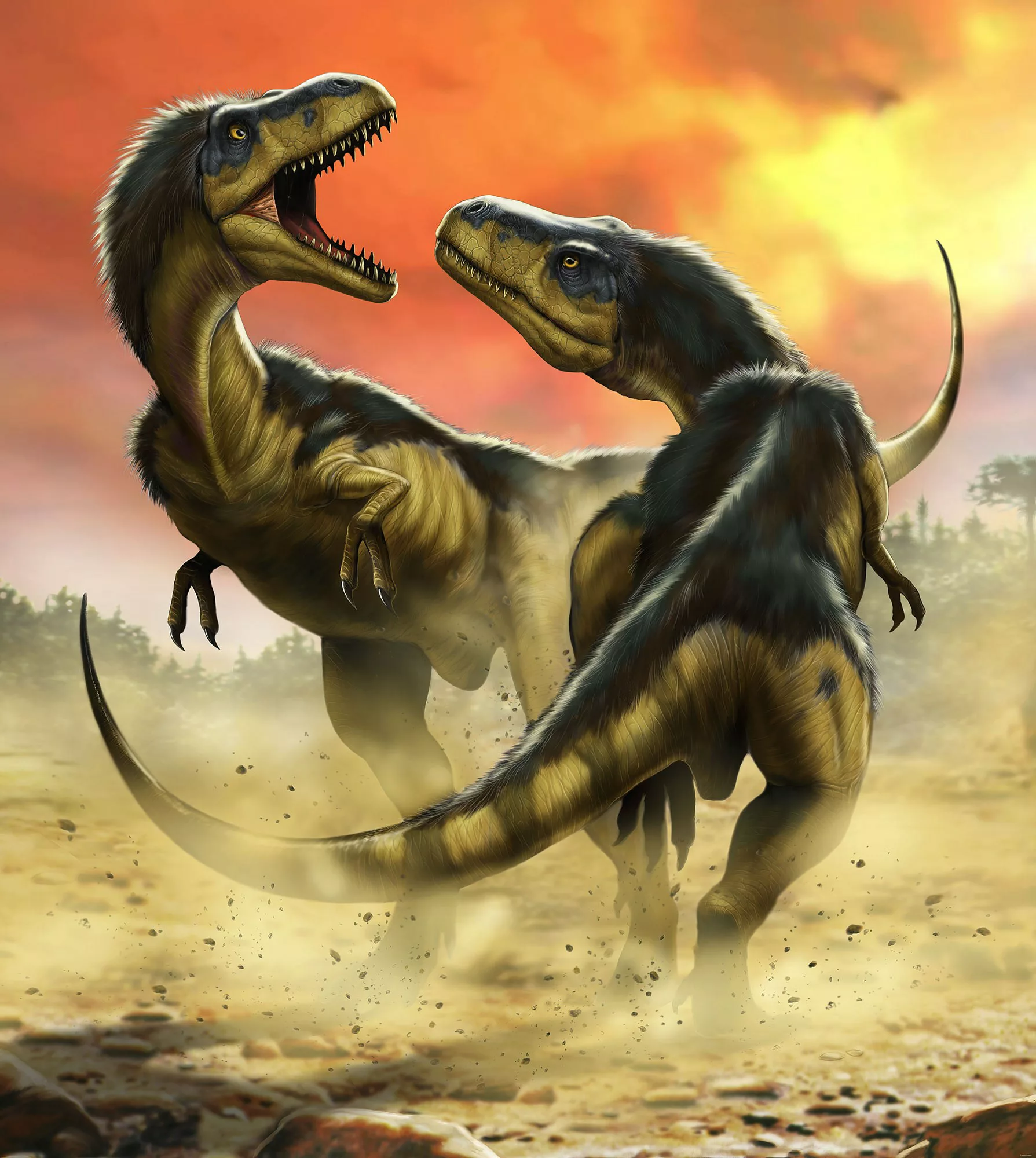 KOMAR Vlies Fototapete - Albertosauruses Fight - Größe 250 x 280 cm mehrfar günstig online kaufen