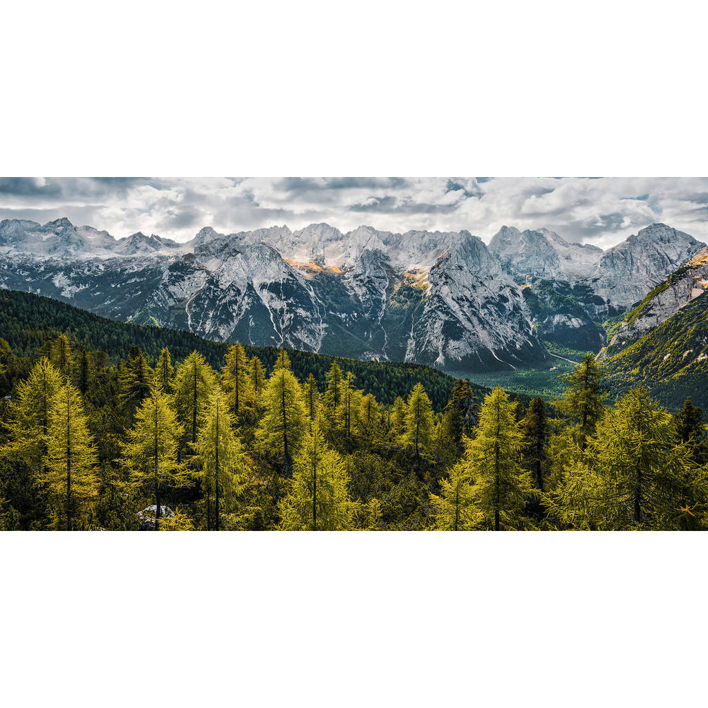 Sanders & Sanders Poster Landschaft Grün und Grau 200 x 100 cm 612570 günstig online kaufen