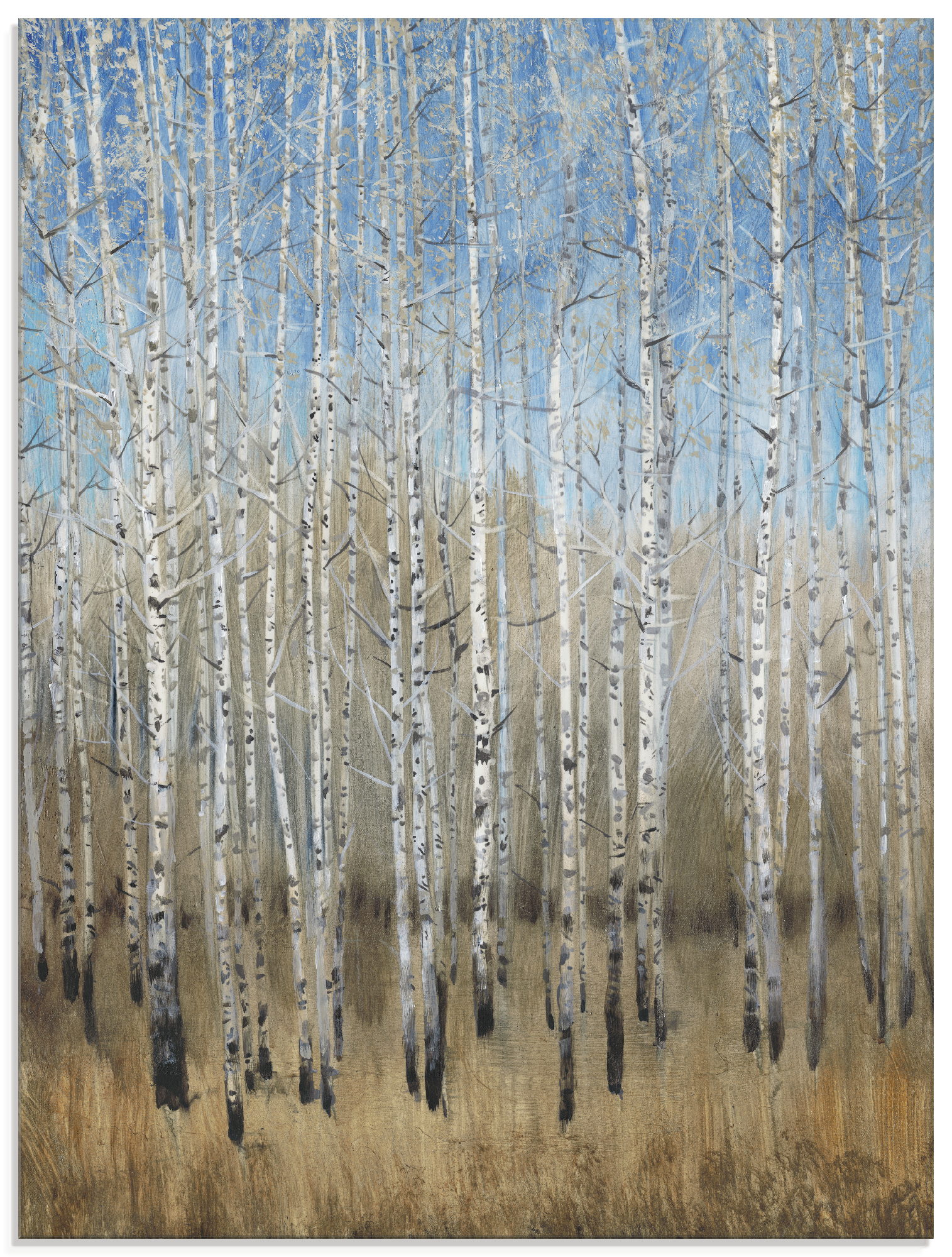 Artland Glasbild "Staubige blaue Birken II", Wald, (1 St.), in verschiedene günstig online kaufen