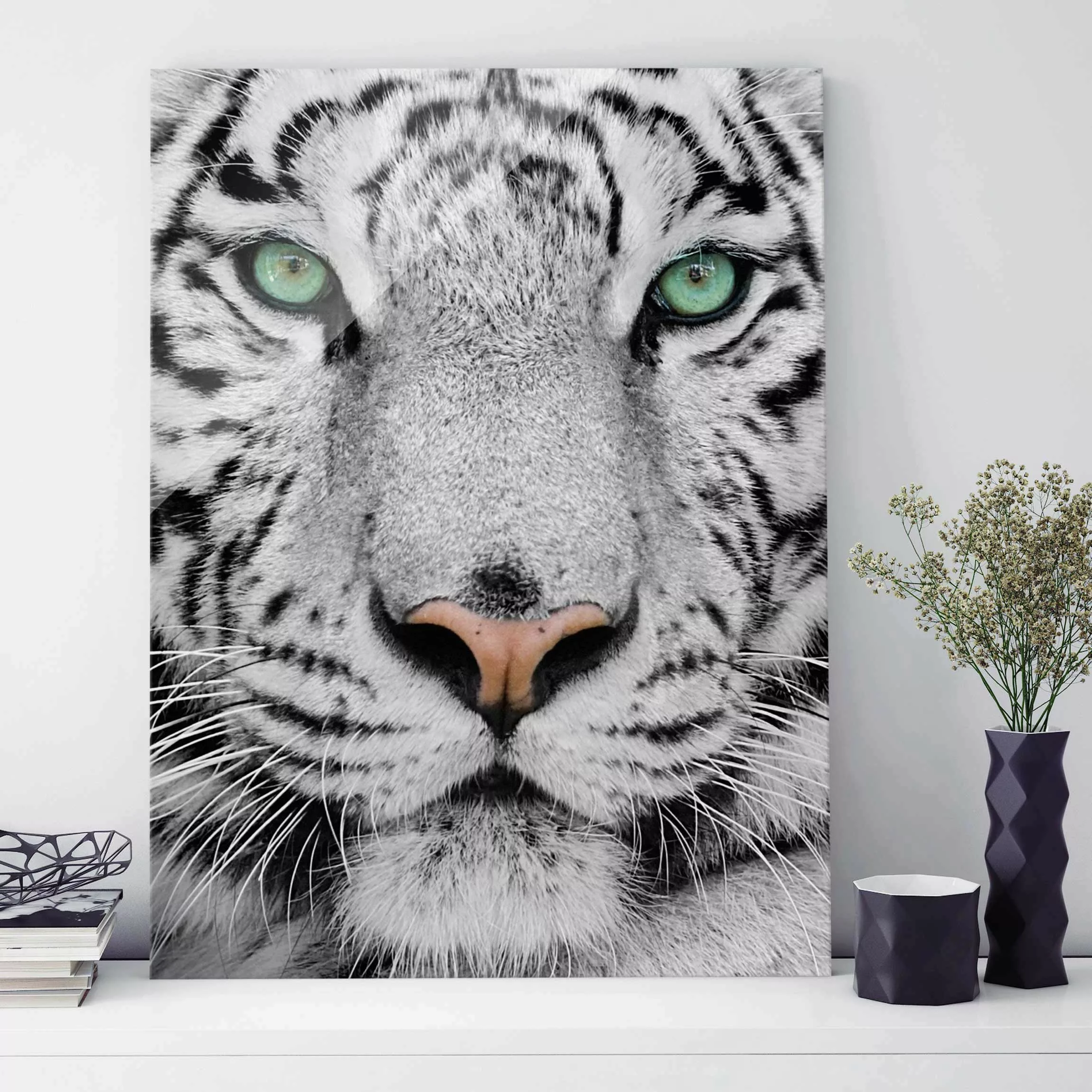 Glasbild Schwarz-Weiß - Querformat Weißer Tiger günstig online kaufen