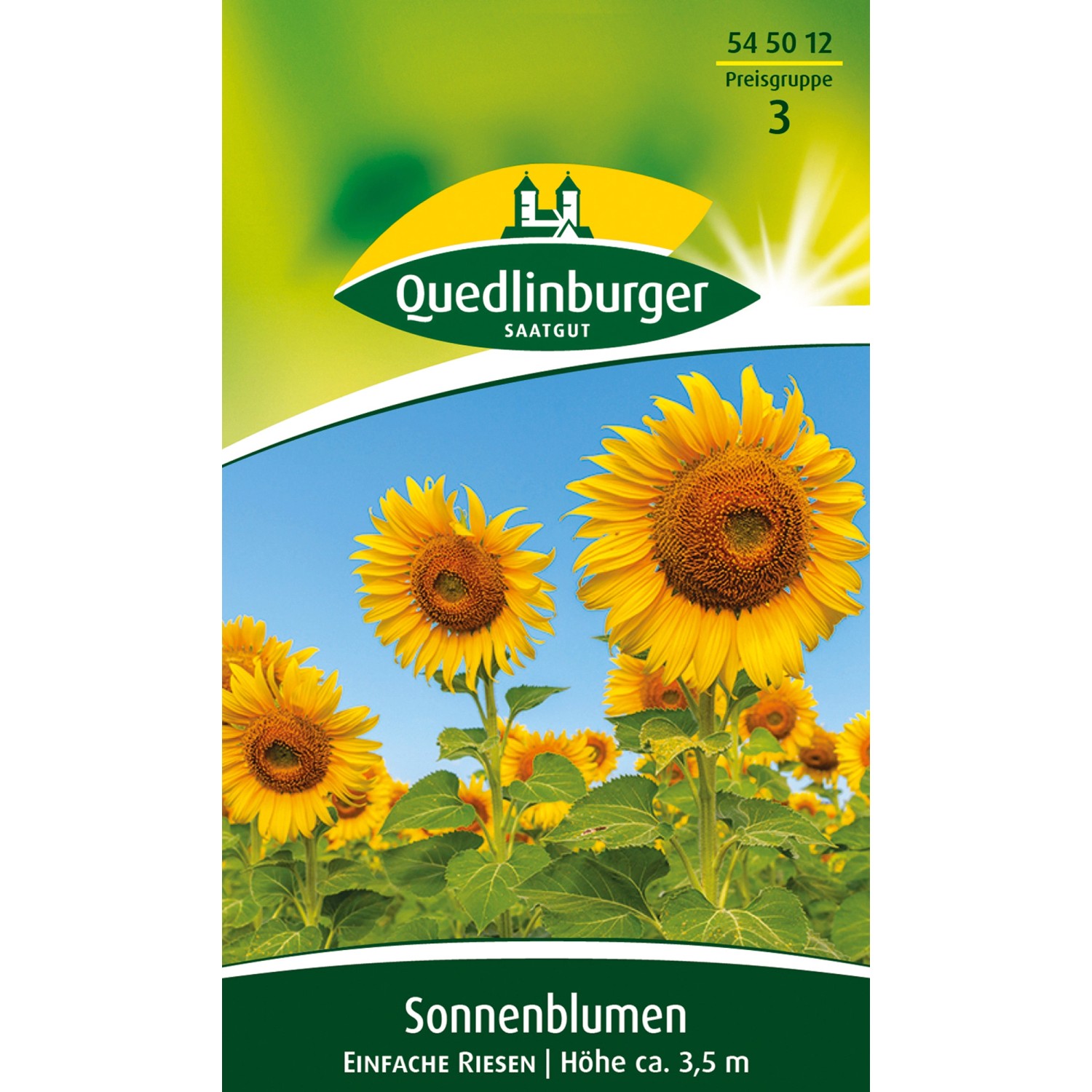 Quedlinburger Sonnenblume ''einfache Quedlinburger Riesen'' günstig online kaufen
