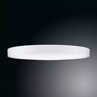 Ribag Licht Arva Deckenleuchte LED, schwarz, ø44 cm , Lagerverkauf, Neuware günstig online kaufen