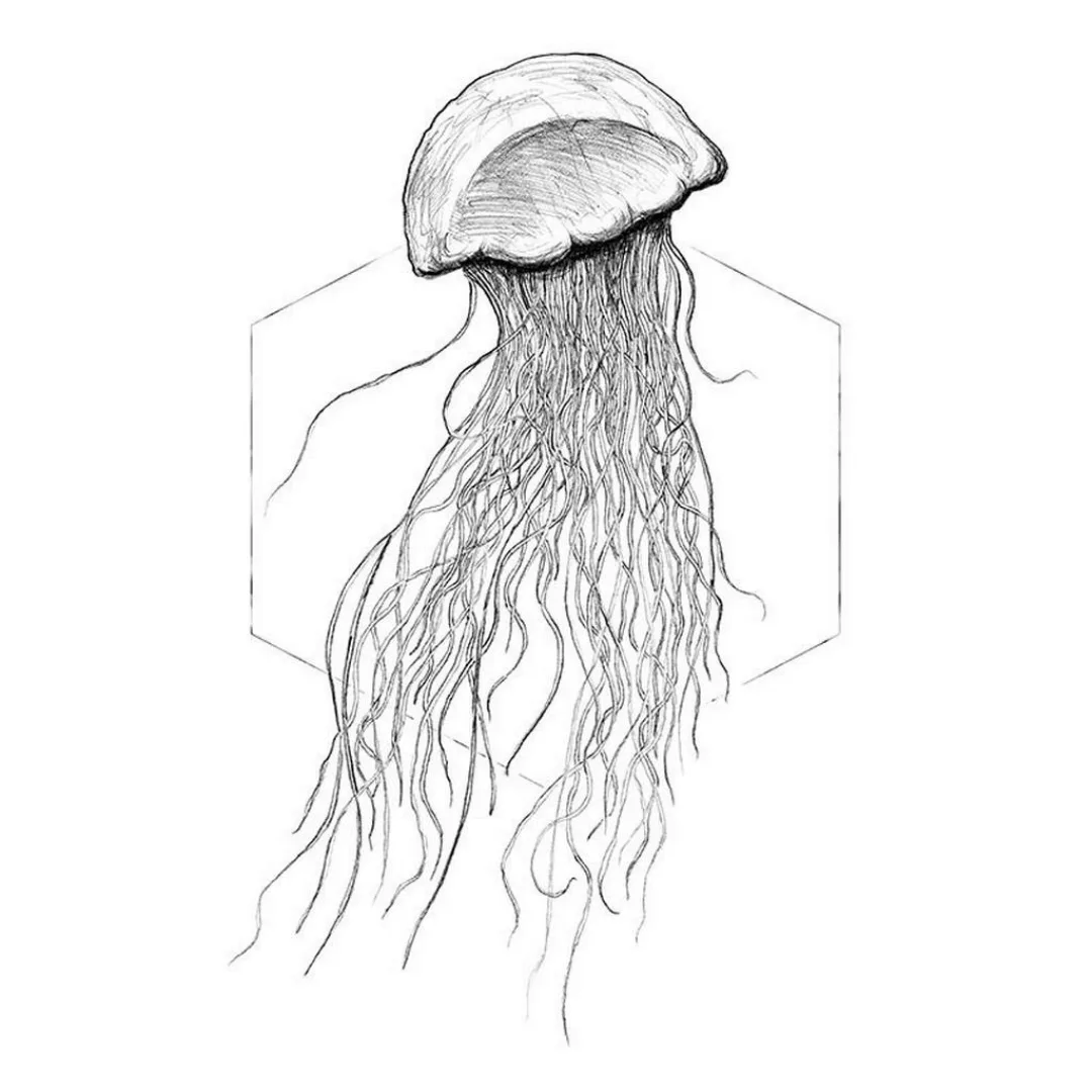 Komar Wandbild Jellyfish White Tiere B/L: ca. 40x50 cm günstig online kaufen